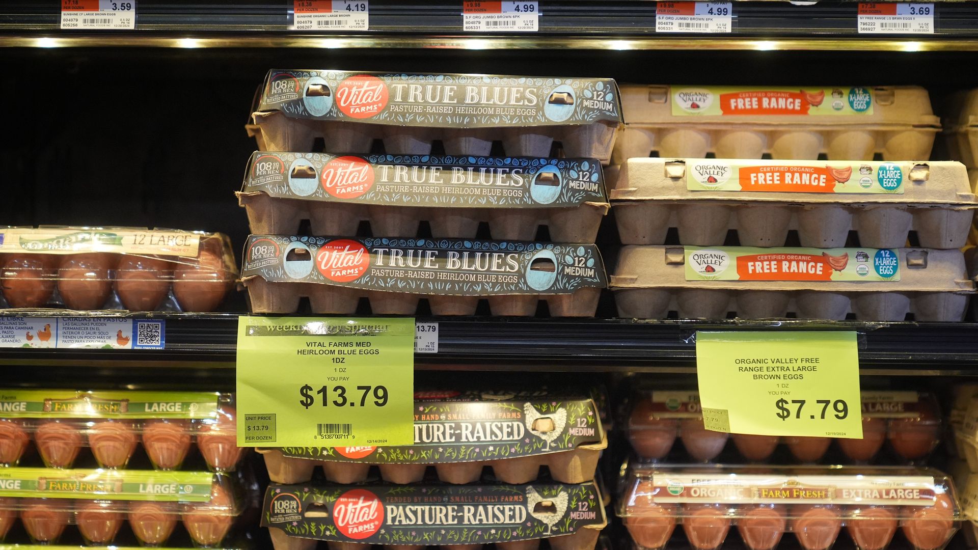 Packages of eggs are seen on the shelves of the egg aisle of the supermarket in New York City, United States on December 20, 2024.