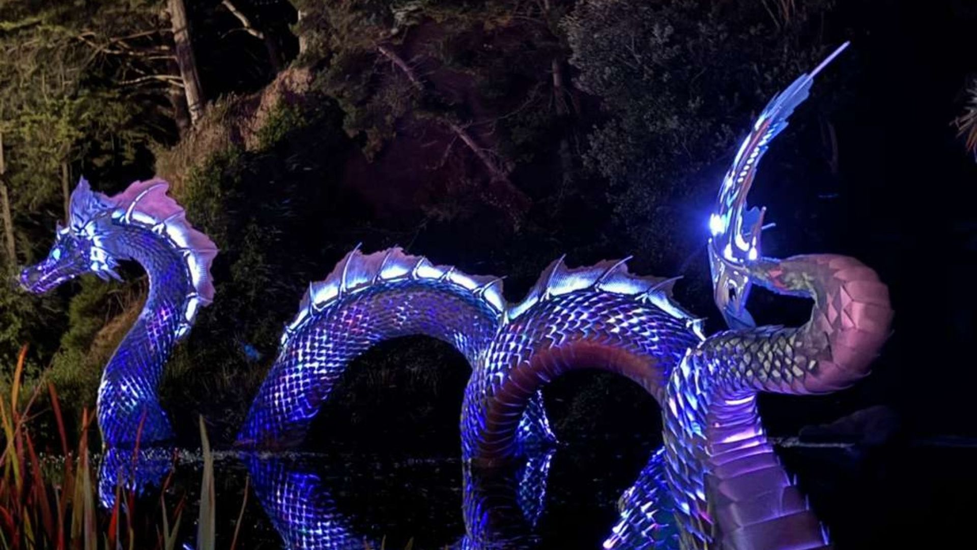 Illuminated metallic dragon sculpture glowing blue and purple, winding through dark water with trees in the background at night.