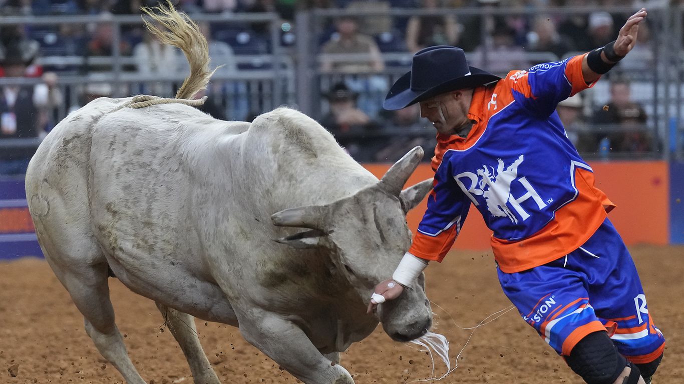 What you need to know about the Houston Livestock Show and Rodeo ...