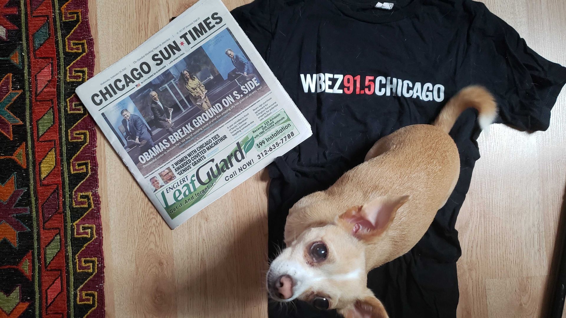 Dog standing on a WBEZ t-shirt and next to a newspaper.