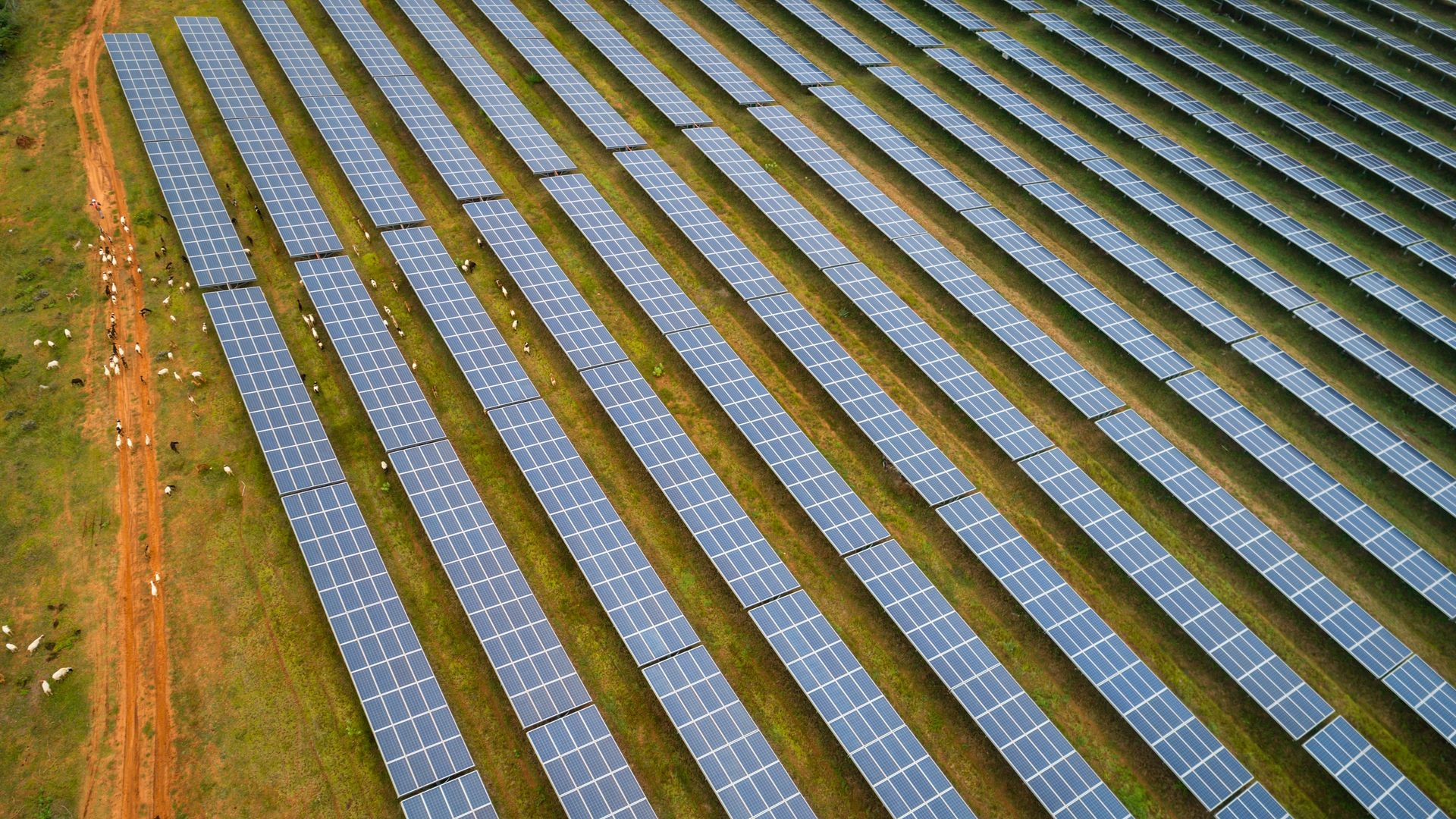 An aerial view shows sheep grazing next to photovoltaic cell solar panels in the Pavagada Solar Park on October 09, 2021 in Thirumani village, Karnataka, India.