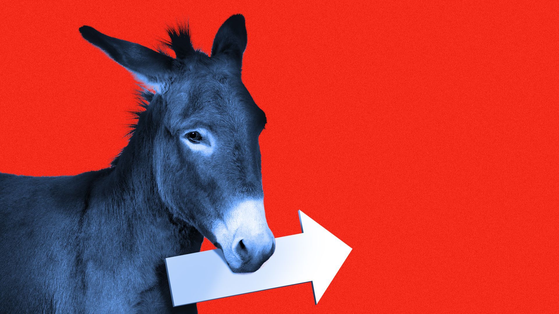 Illustration of a blue donkey holding an arrow in its mouth
