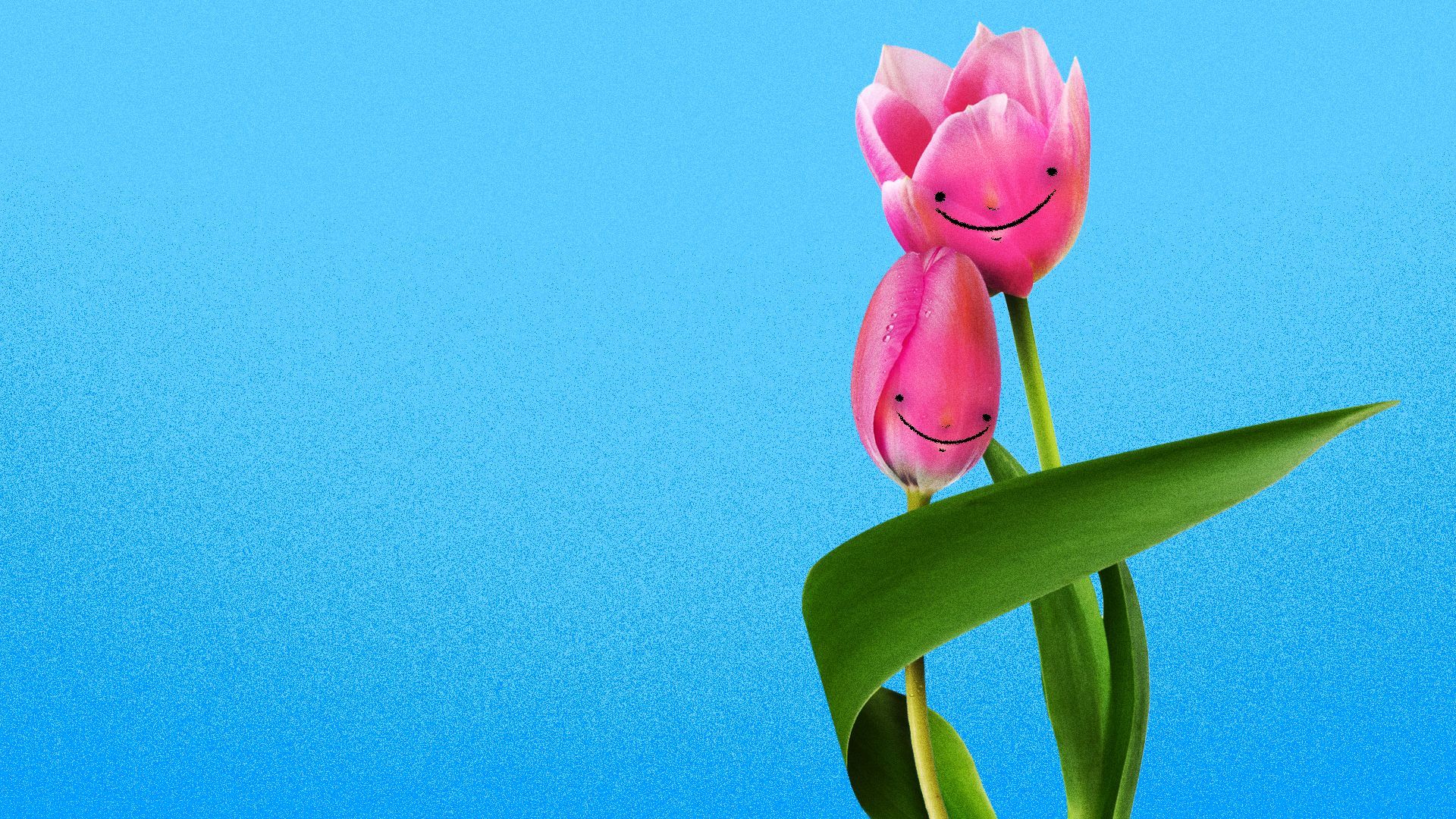 Illustration of a mom tulip hugging a kid tulip bud. 