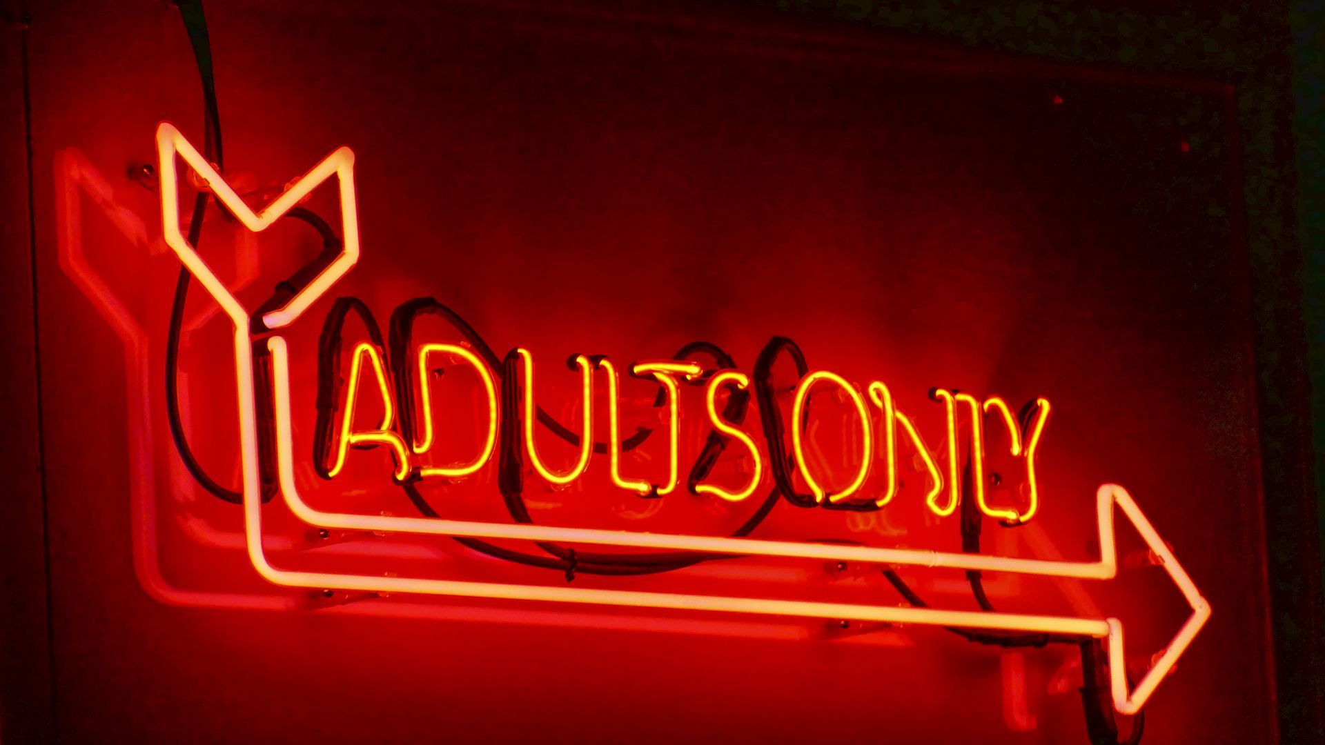 A neon sign that says "Adults Only"