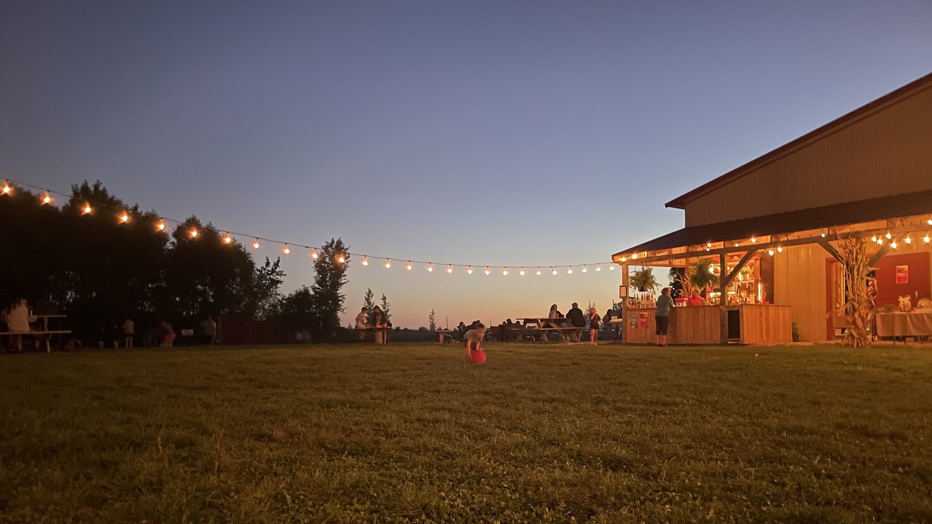 boy with a ball under string lights at a farm