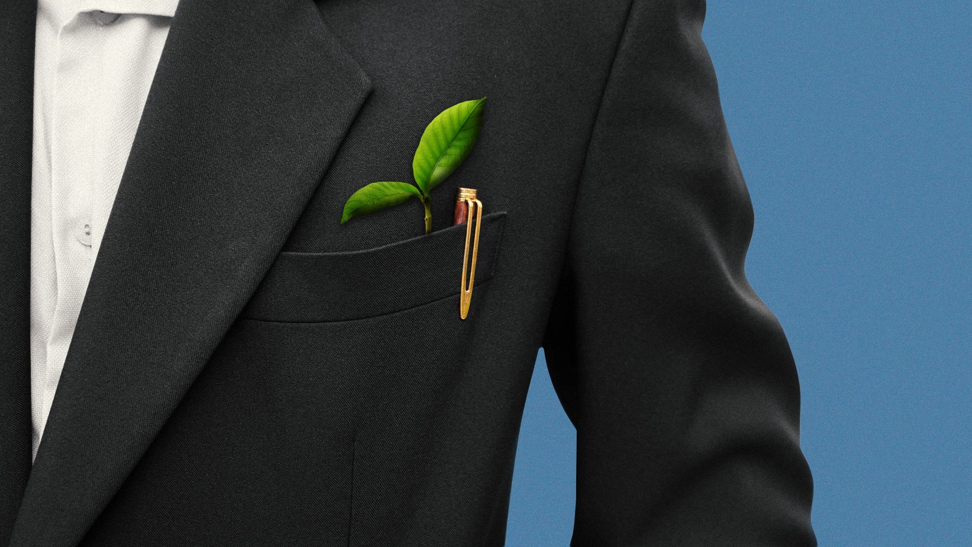 Illustration a small sprout and a pen in the lapel pocket of a suit jacket.