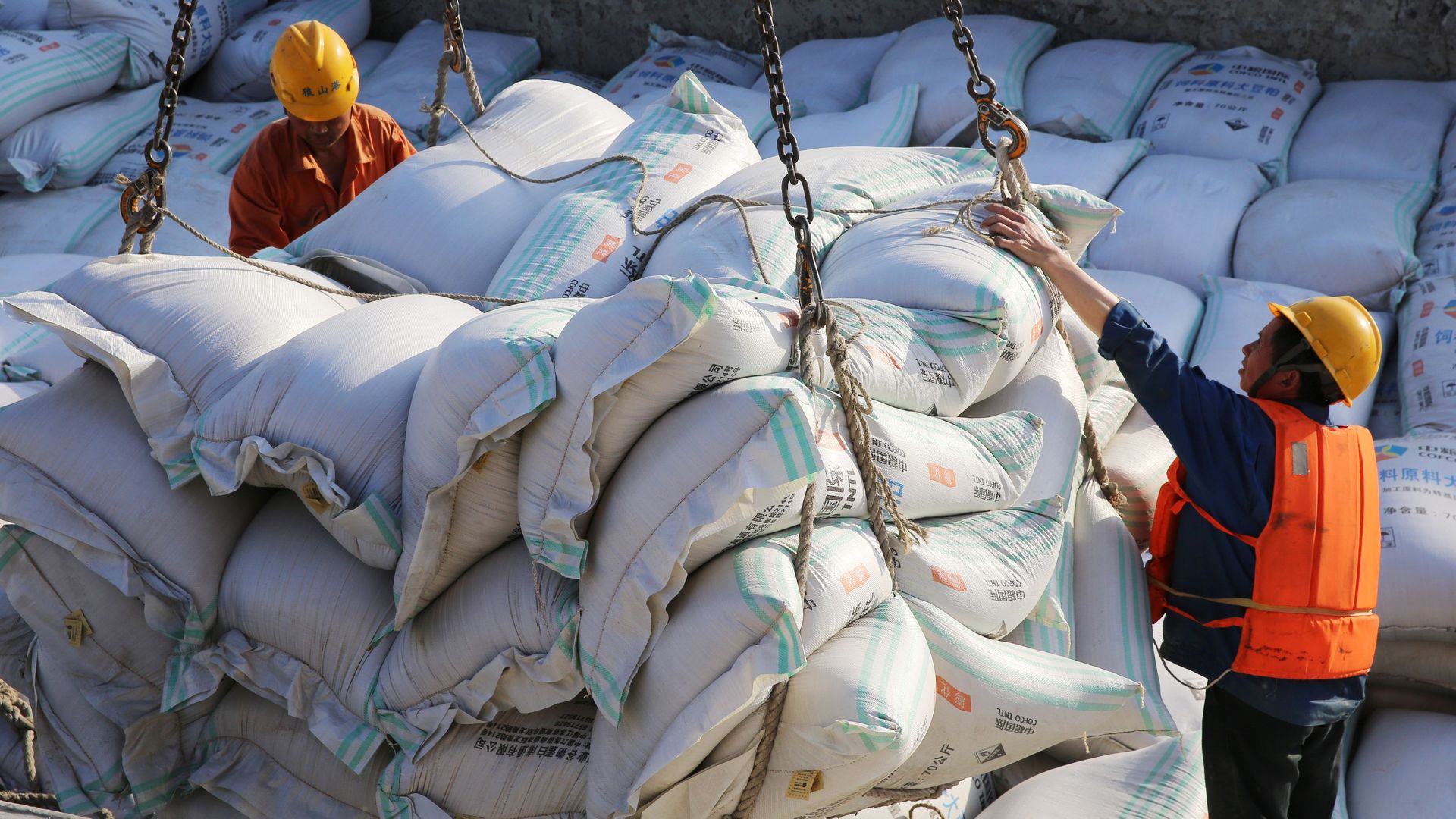 Workers moving soybean shipments