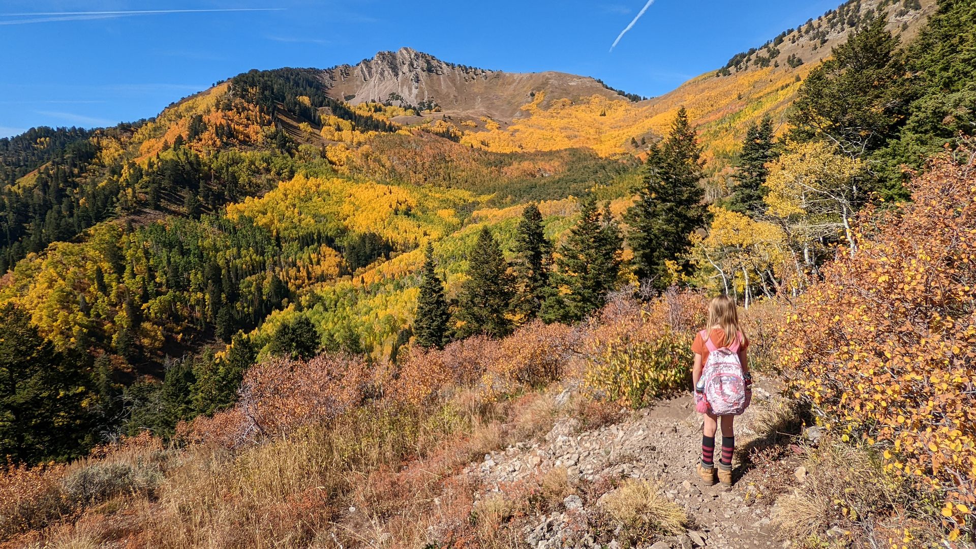 A mountain with autumn leaves and a young girl hiking.