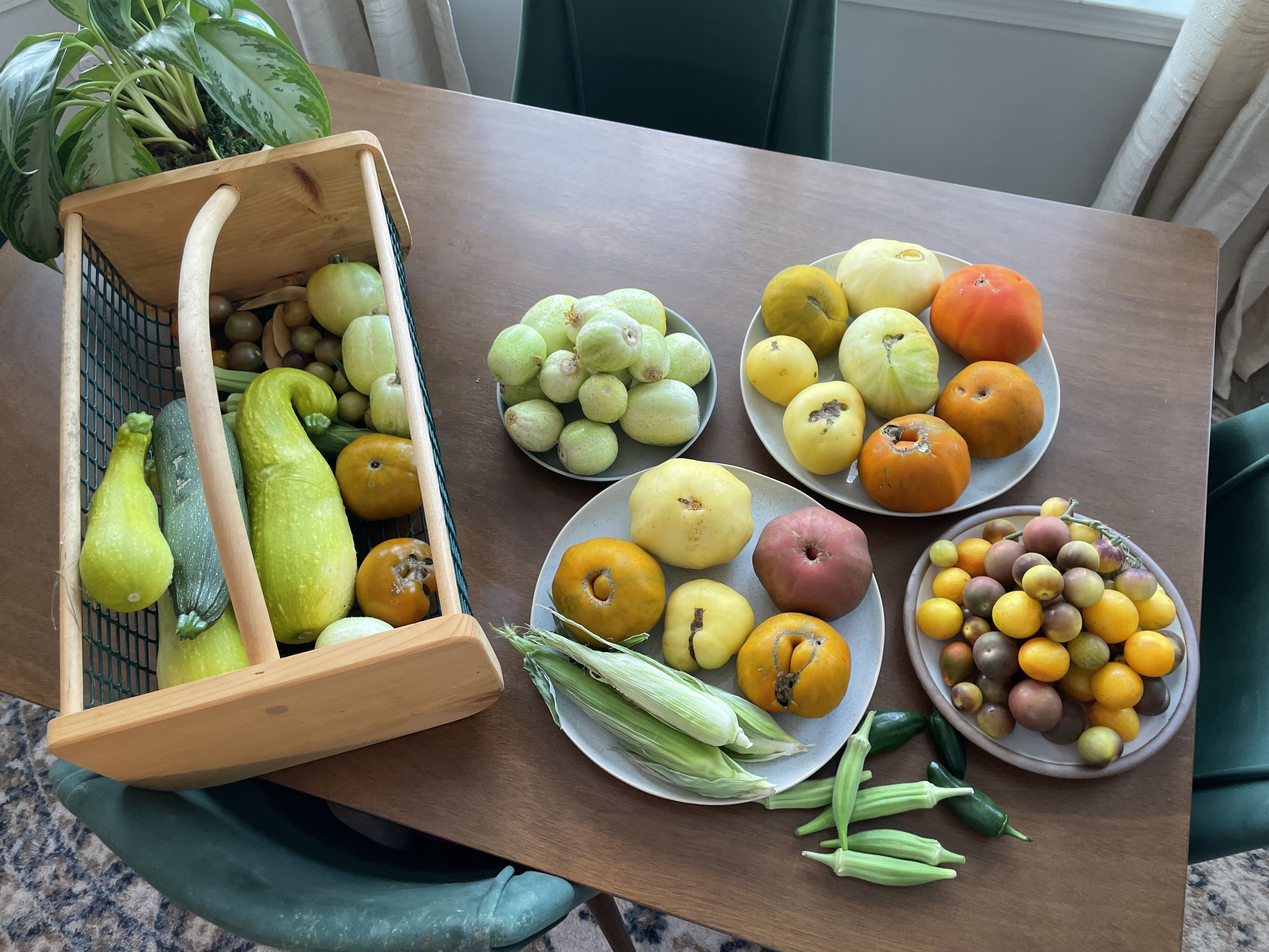 Top-down view of a wooden table: a crate with a leafy plant on the left and bowls of fruit—green and pale-yellow fruit, orange persimmons—plus corn and long squash; a green chair in the background.
