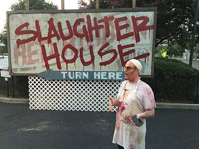 carowings-vp-marketing-dressed-for-scarowinds