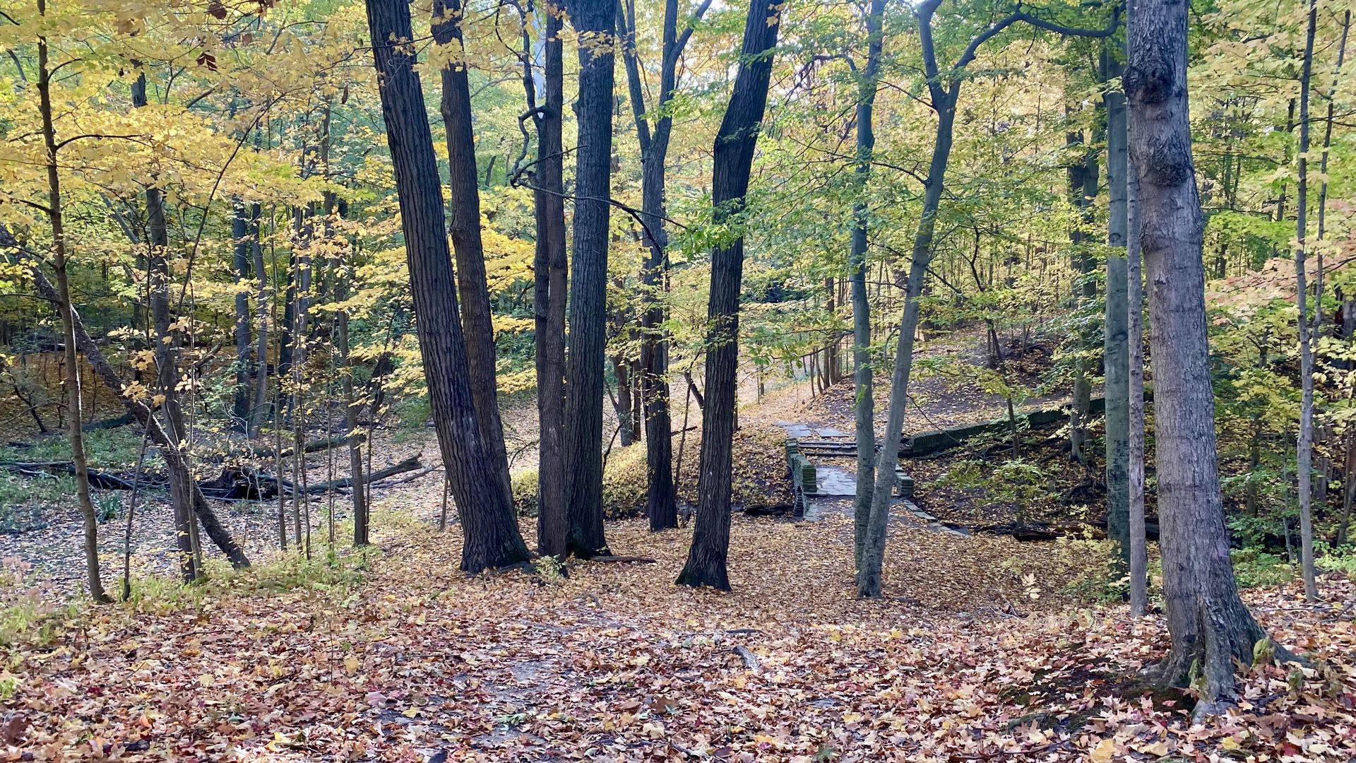 Michigan's largest urban park, Rouge Park, is in District 7.