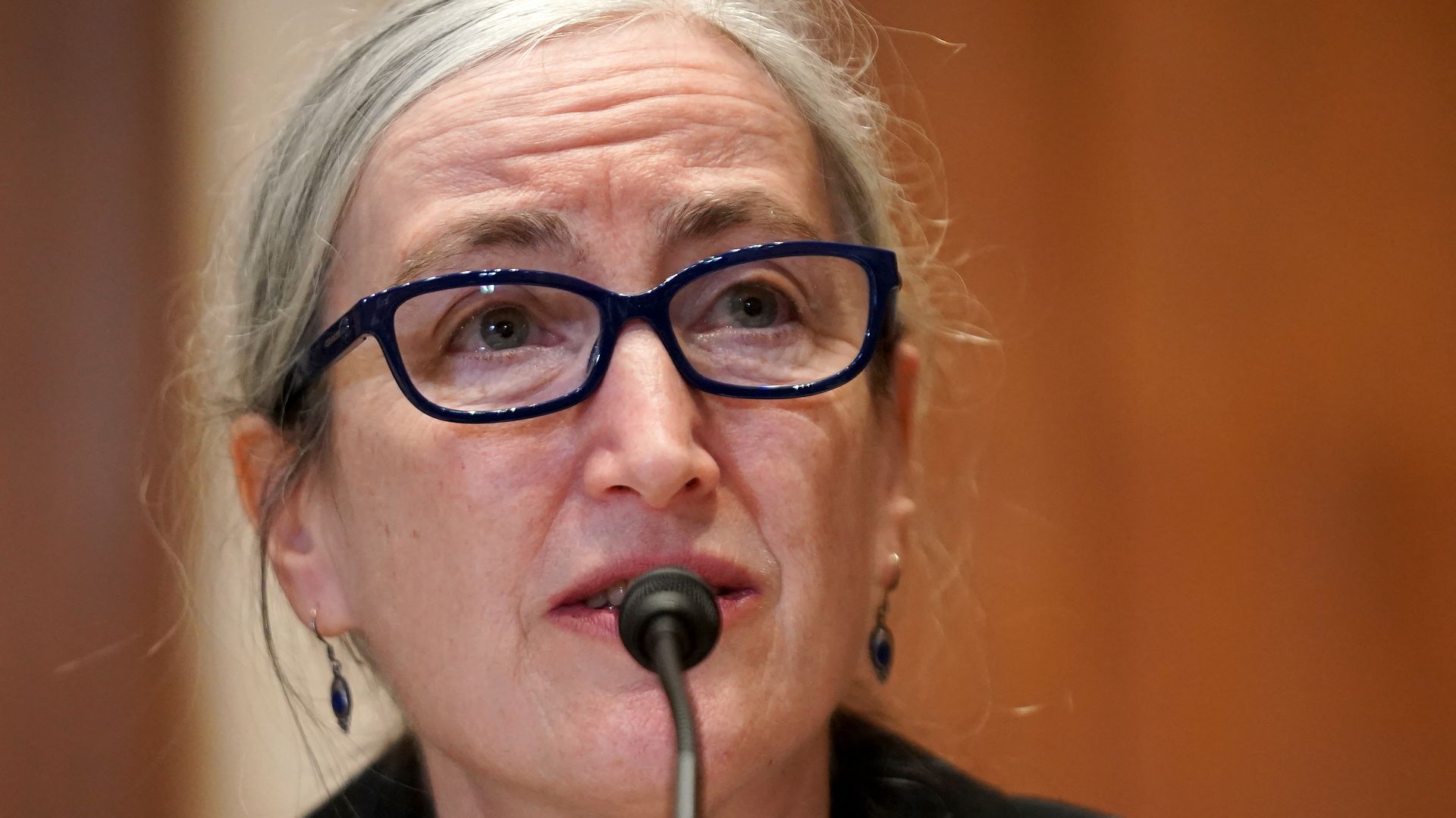 Photo of Anne Schuchat speaking into a mic