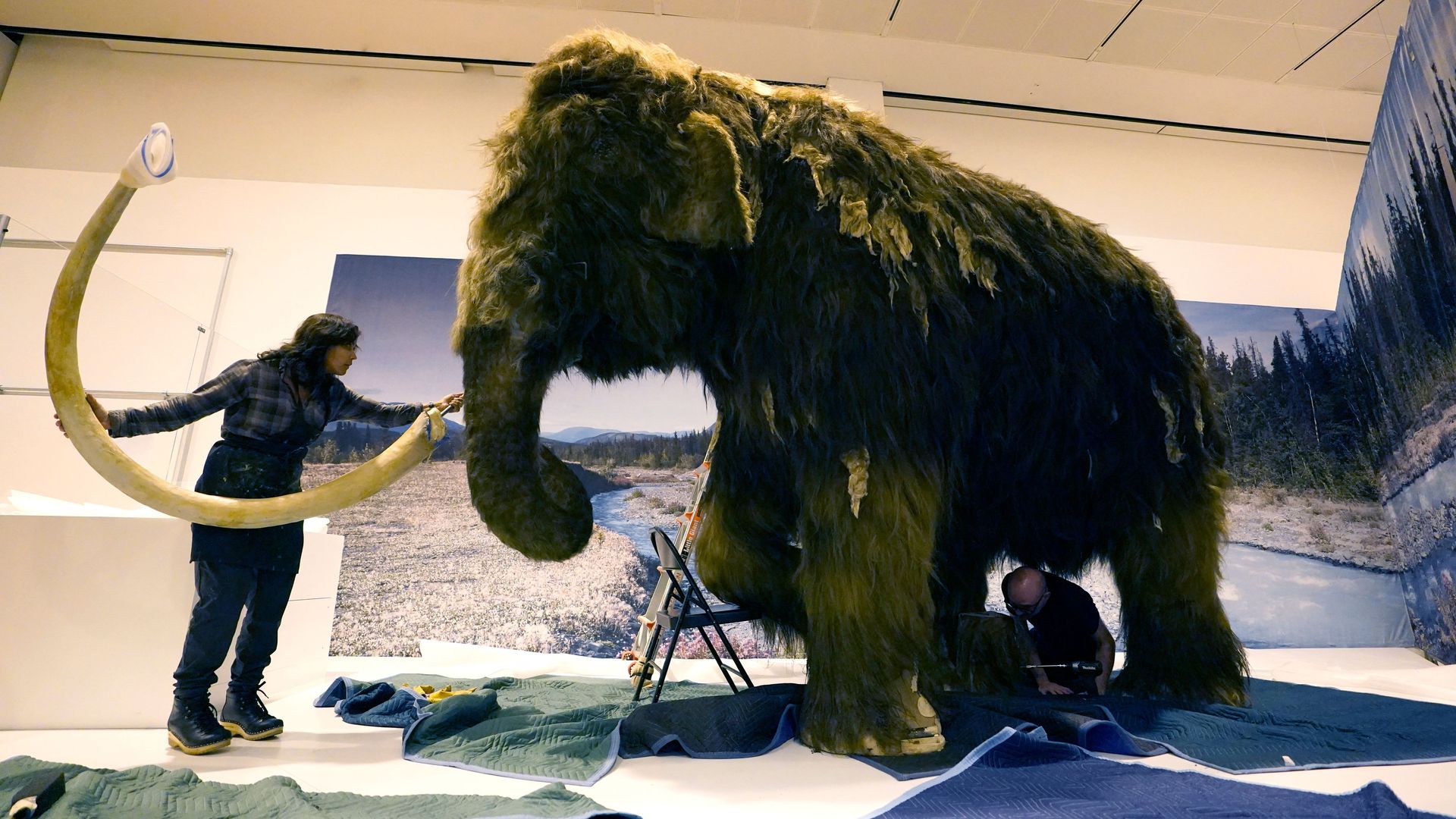 A mammoth replica.