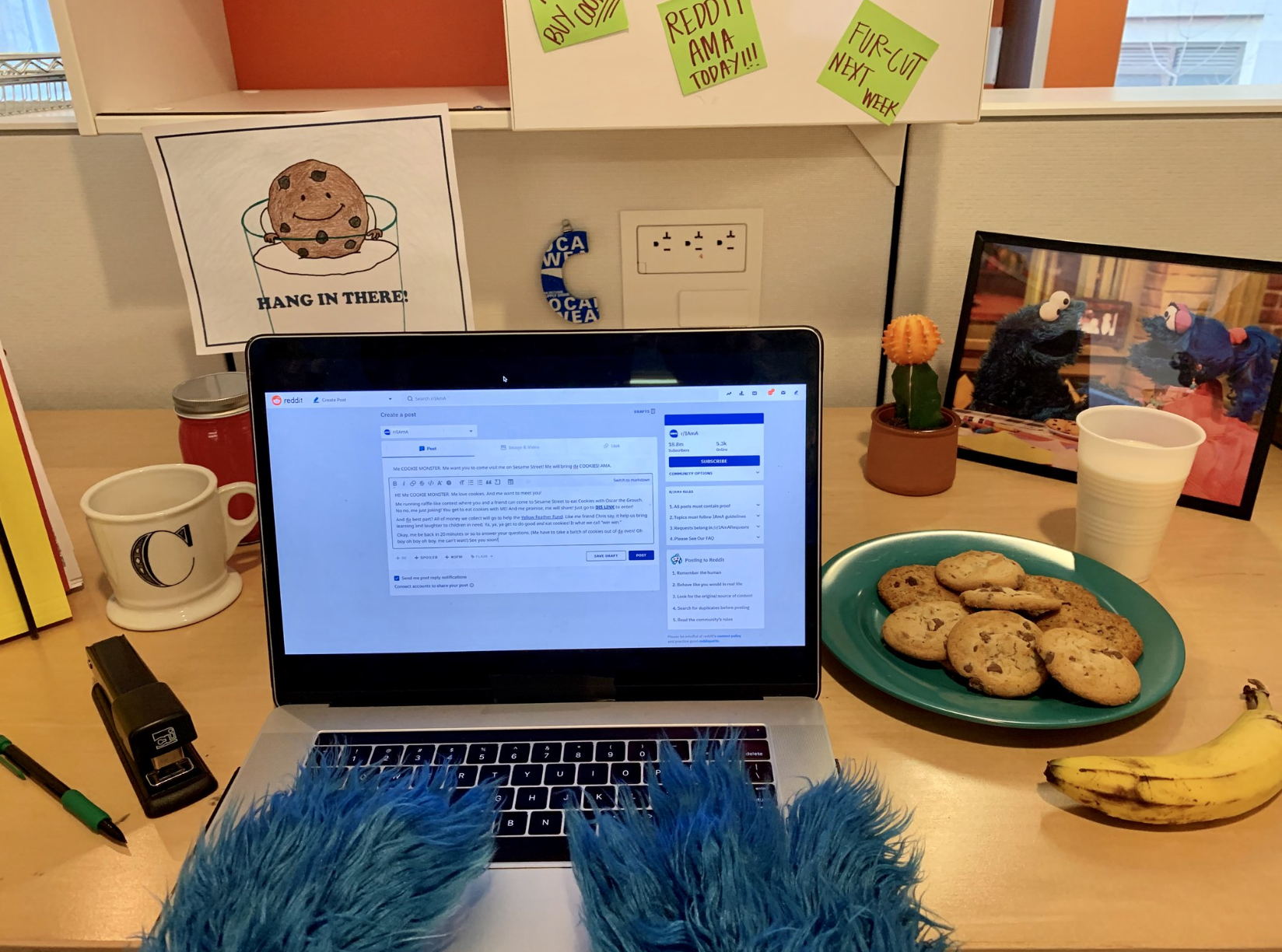 A photo of Cookie Monster at his computer keyboard.