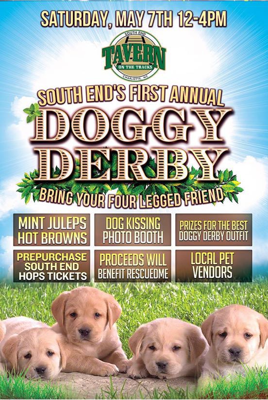 doggy-derby