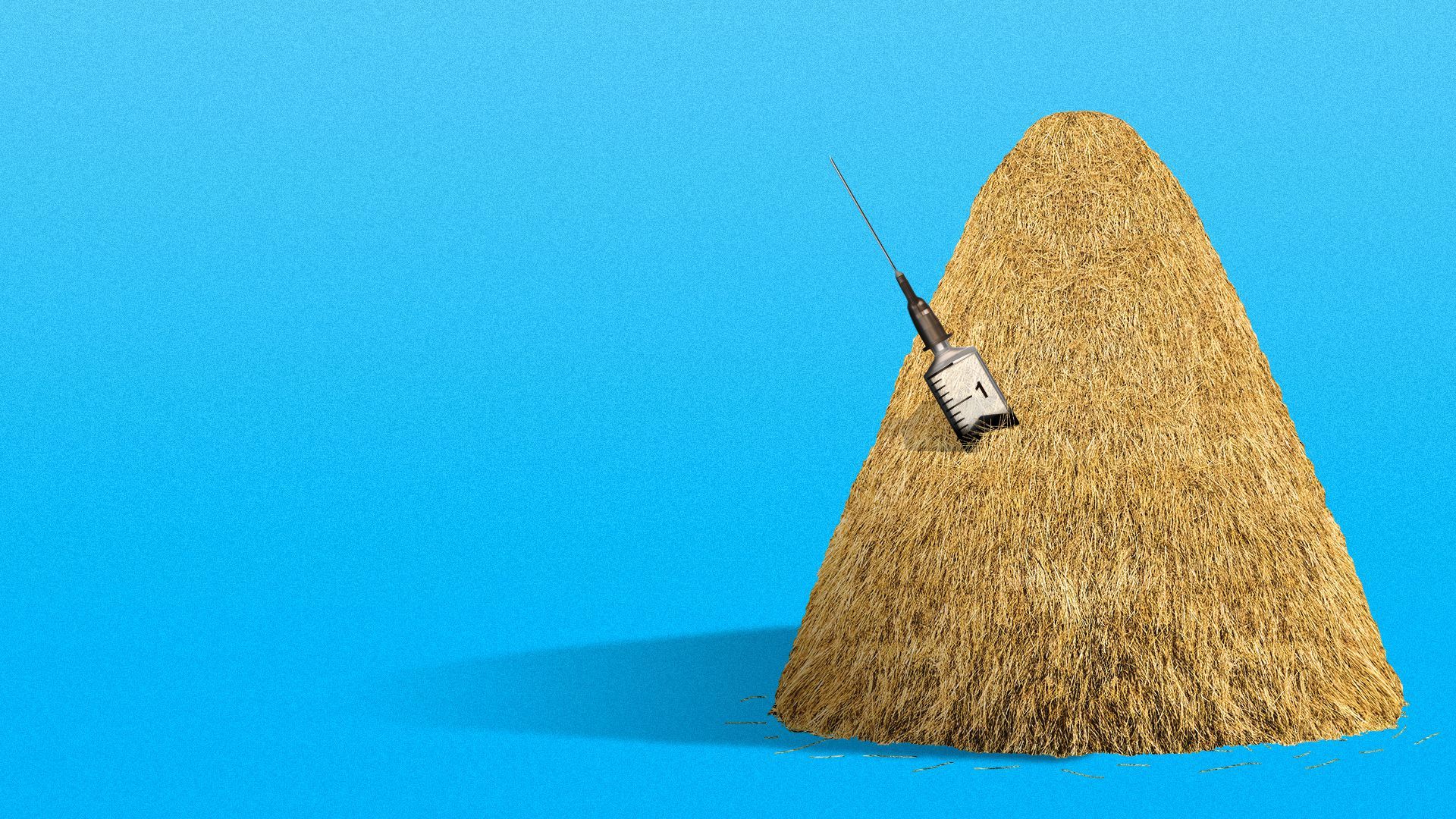 Illustration of a syringe in a haystack with the needle poking out. 