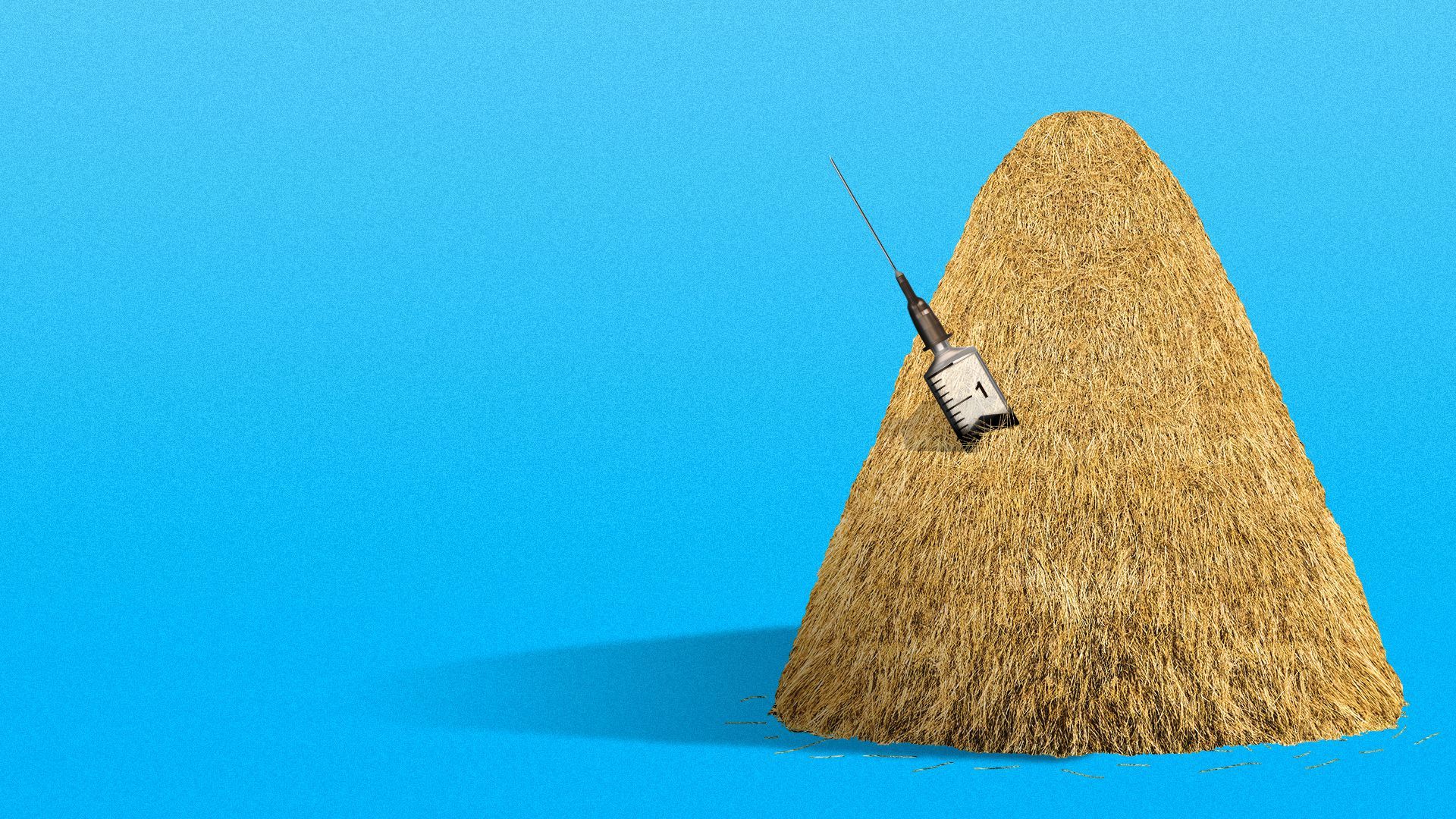 Illustration of a syringe in a haystack with the needle poking out.