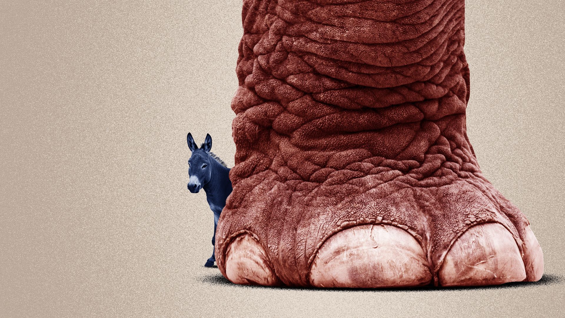 Illustration of a small blue donkey hiding behind a large red elephant foot.