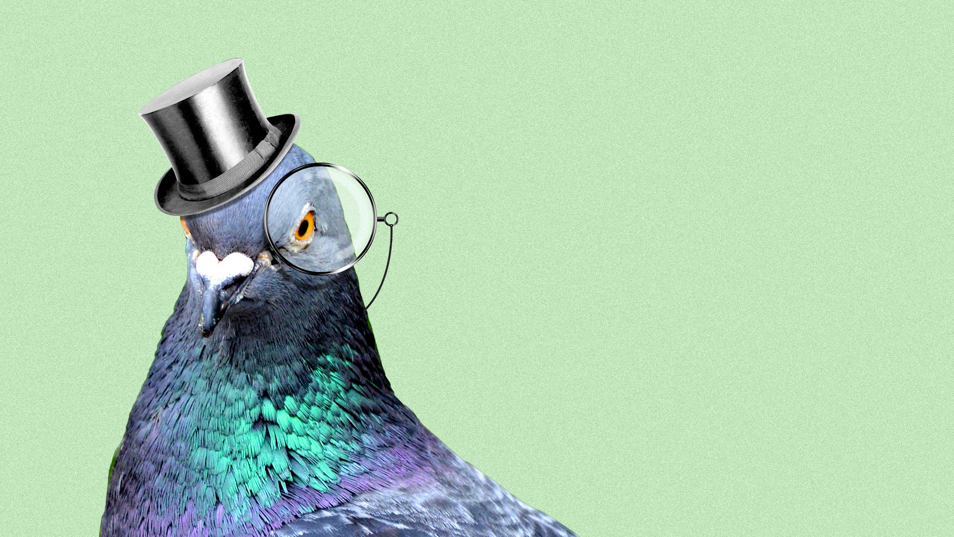 Illustration of a pigeon wearing a top hat and monocle.