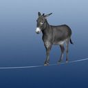 Dems' potential 2028 contenders cautious on trans rights