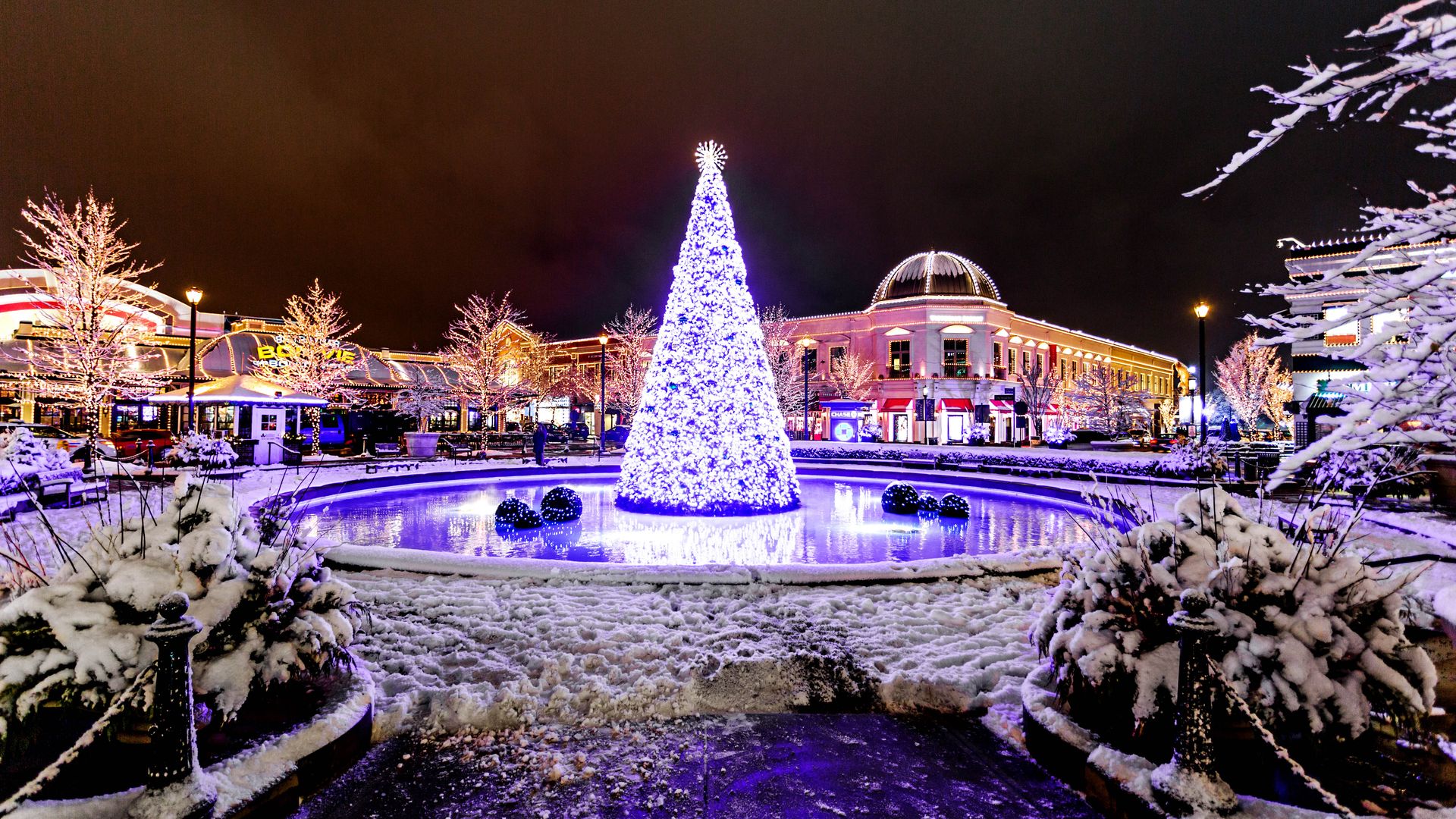 A lit Christmas tree in the center of a fountain, with the surrounding area covered in lights and snow
