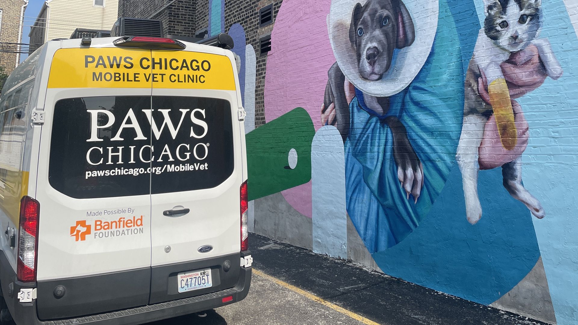 Van that reads PAWS Chicago on back windshield next to a mural with a dog with a cone and a cat.