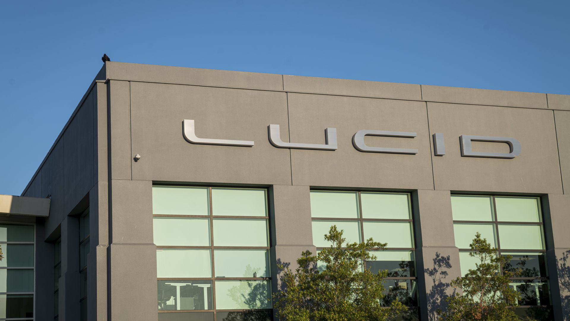 lucid motors logo