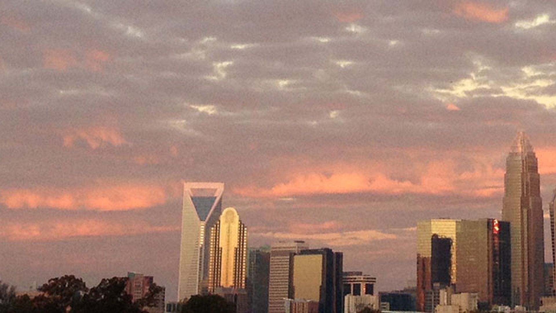 lelia-king-charlotte-farewell