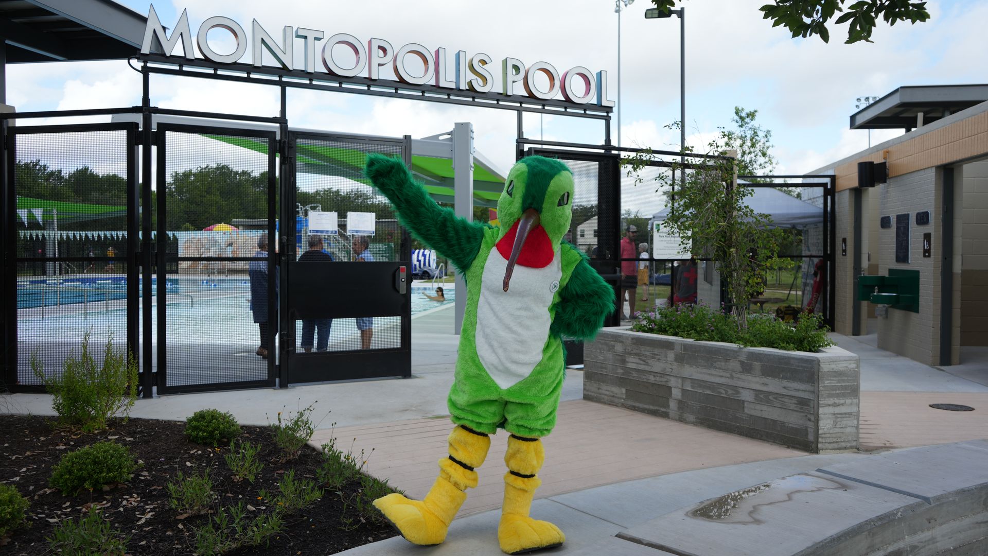 Entrance to Montopolis Pool with a bright green parrot mascot posing by the gate; black metal fencing, pool area behind, and a sunny, partly cloudy sky.