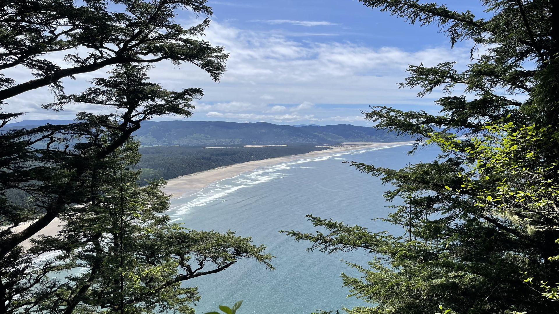 View from a forest overlook of a sandy beach along the blue ocean, framed by dark evergreen branches. Distant hills under a bright, partly cloudy sky.