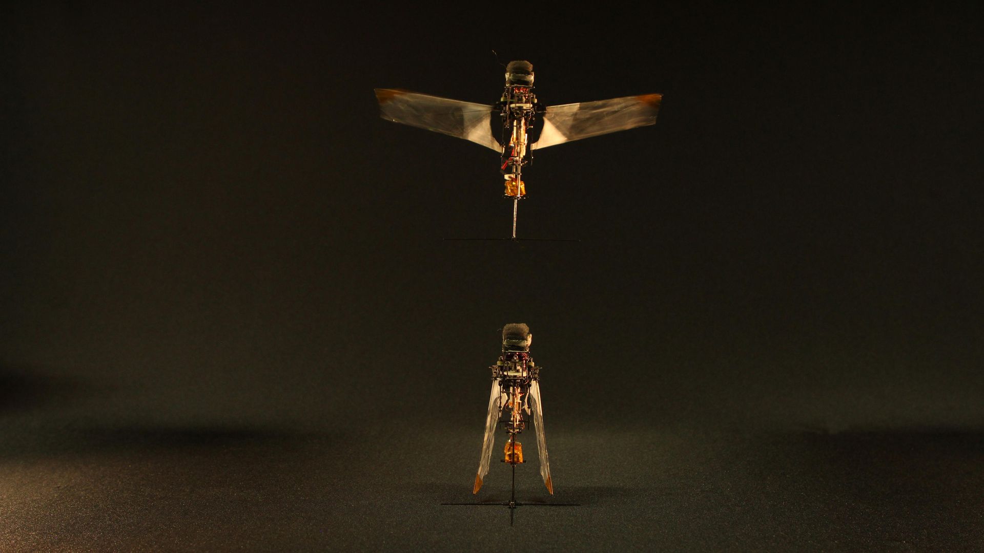 The flapping microrobot takes flight with passive deploying-retracting wings