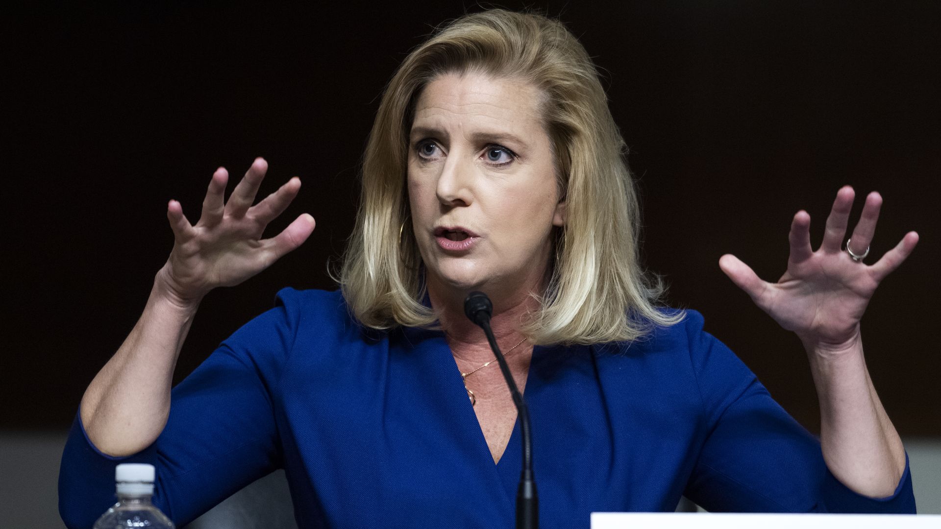 Christine Elizabeth Wormuth speaks at a hearing