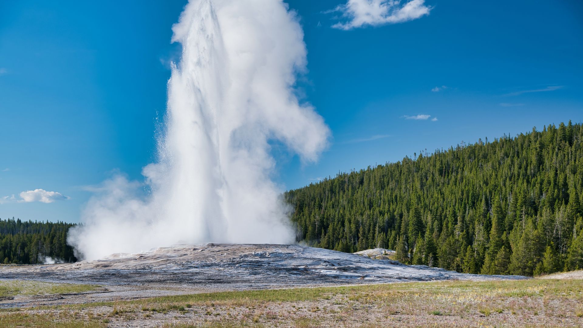 Photo of Yellowstone National Park's Old Faithful geyser exploding