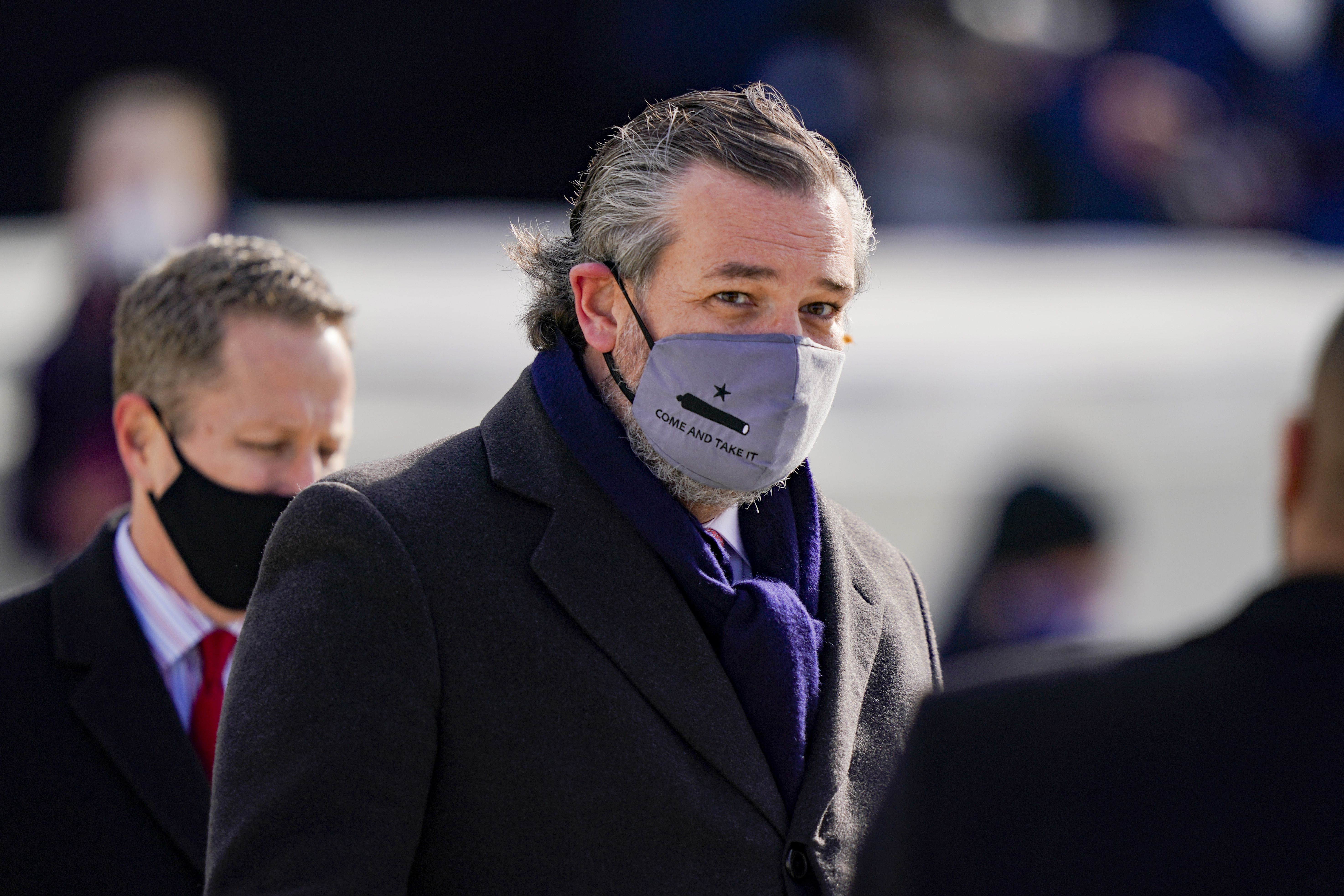 Ted Cruz in a face mask 