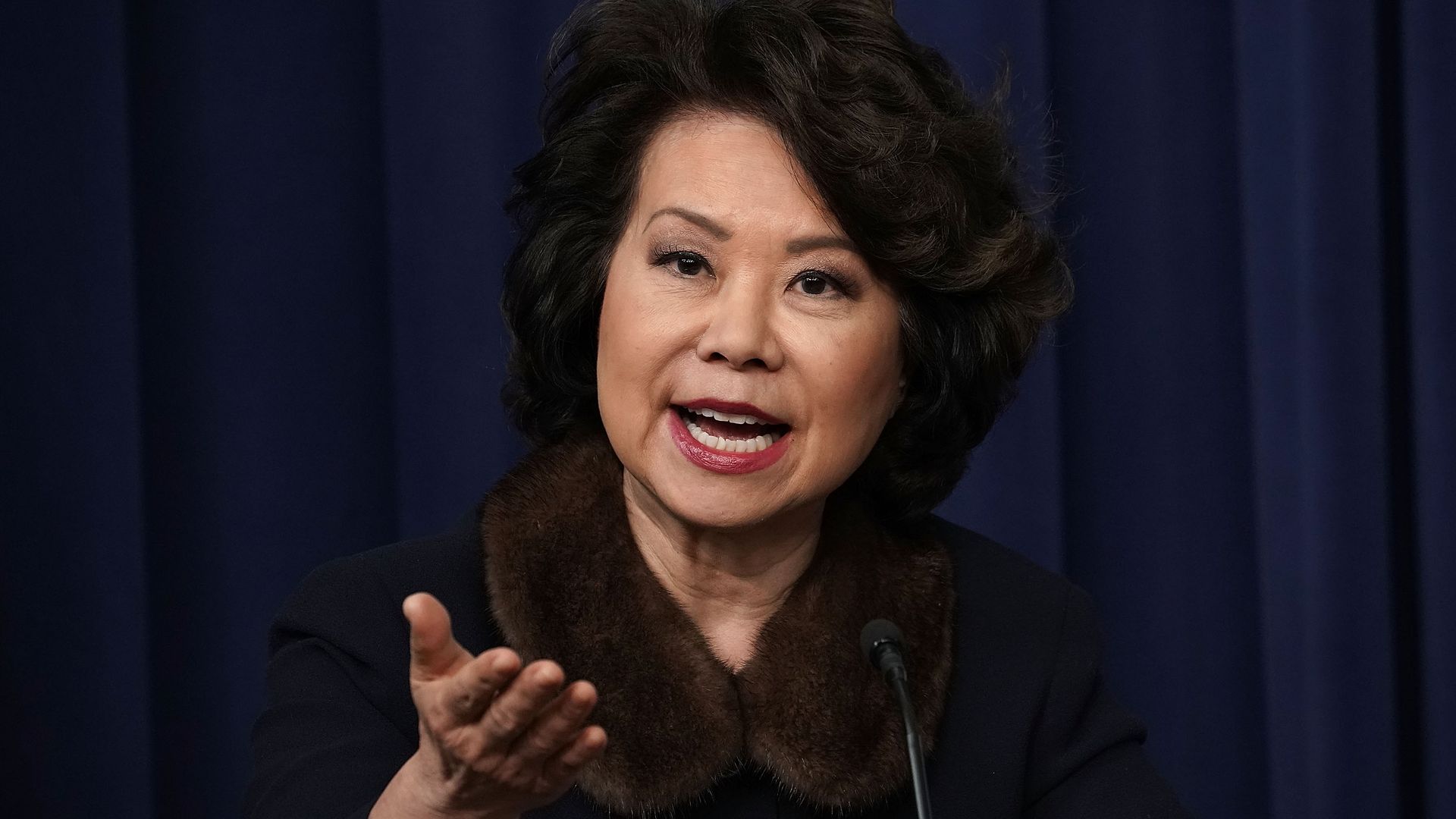 Elaine Chao 