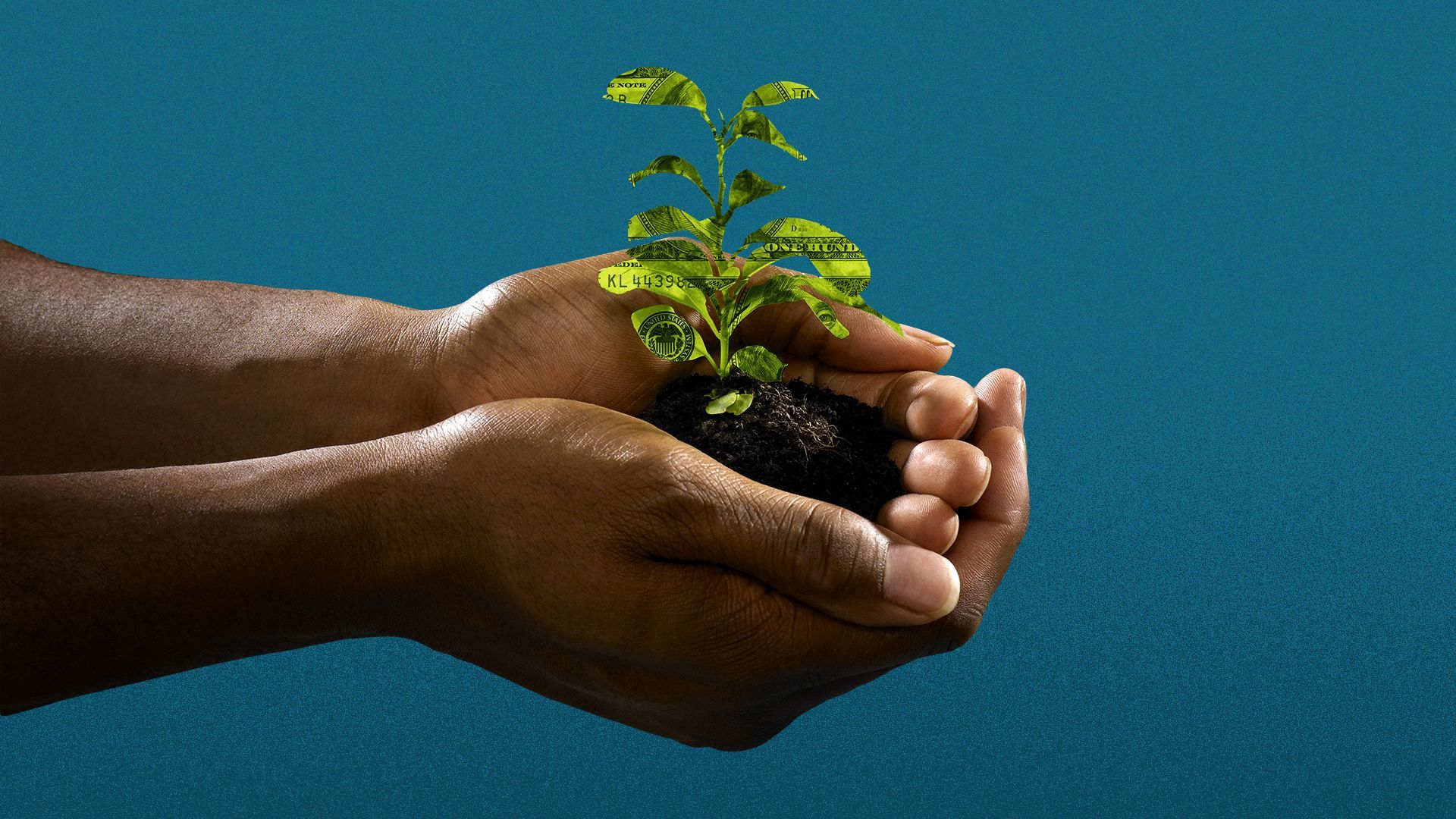 Illustration of a Black person's hands holding a plant made out of money.