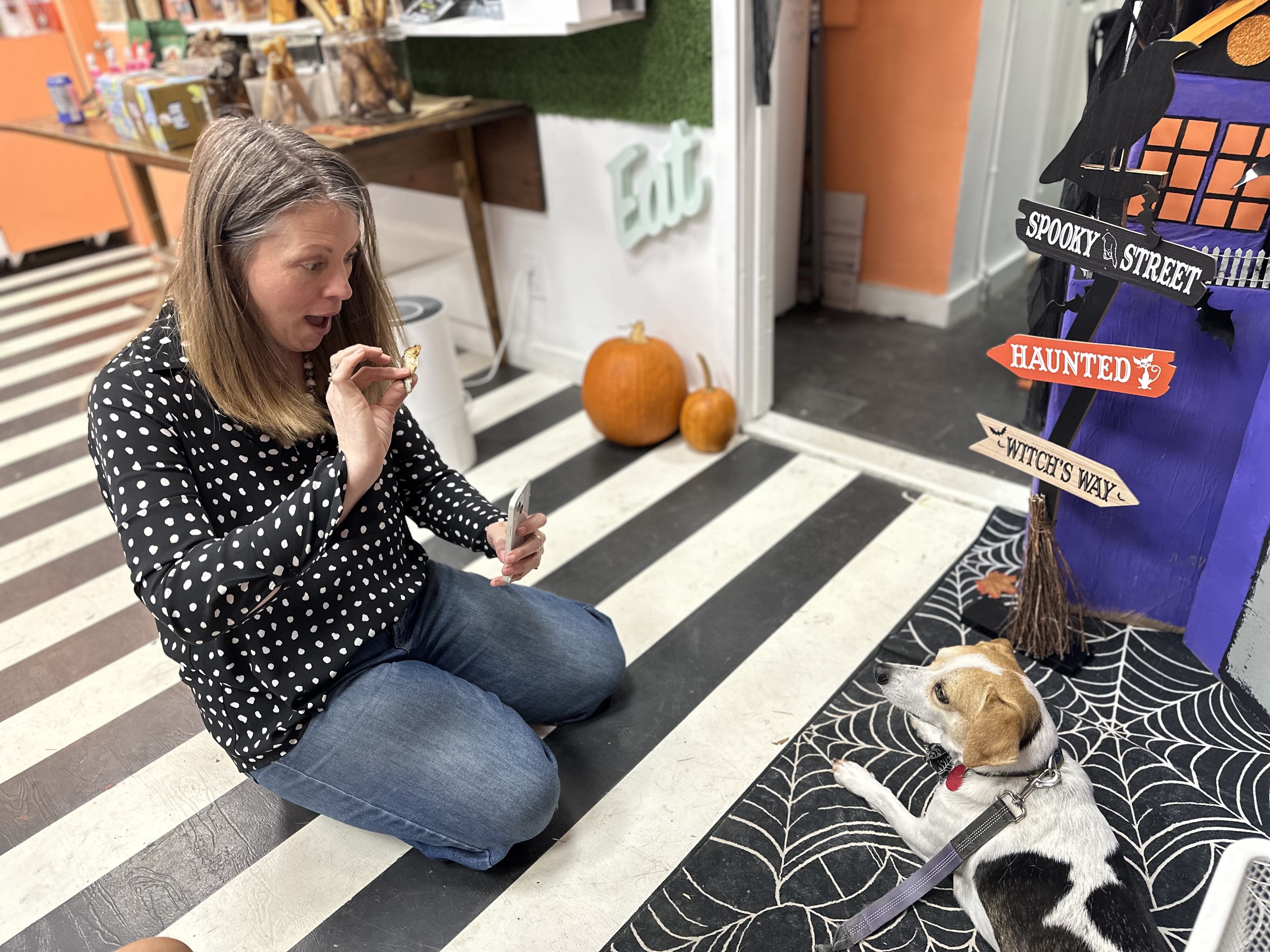 Michele Martin, owner of Scritches & Boops, sits on the ground of her store holding up a treat so a dog can look at her camera for a photo.