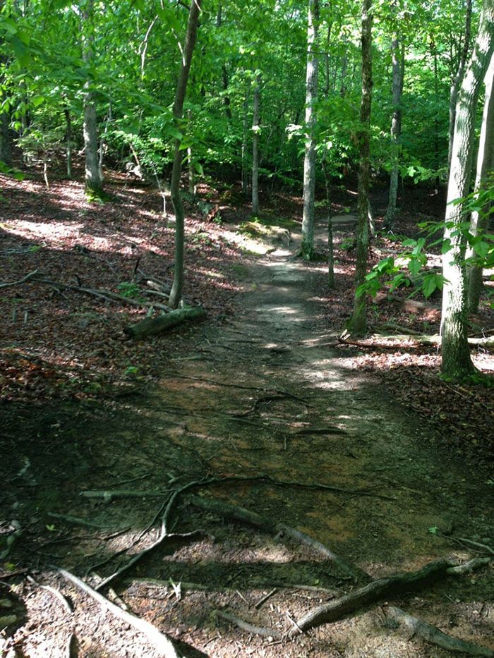 Lake-Norman-State-Park
