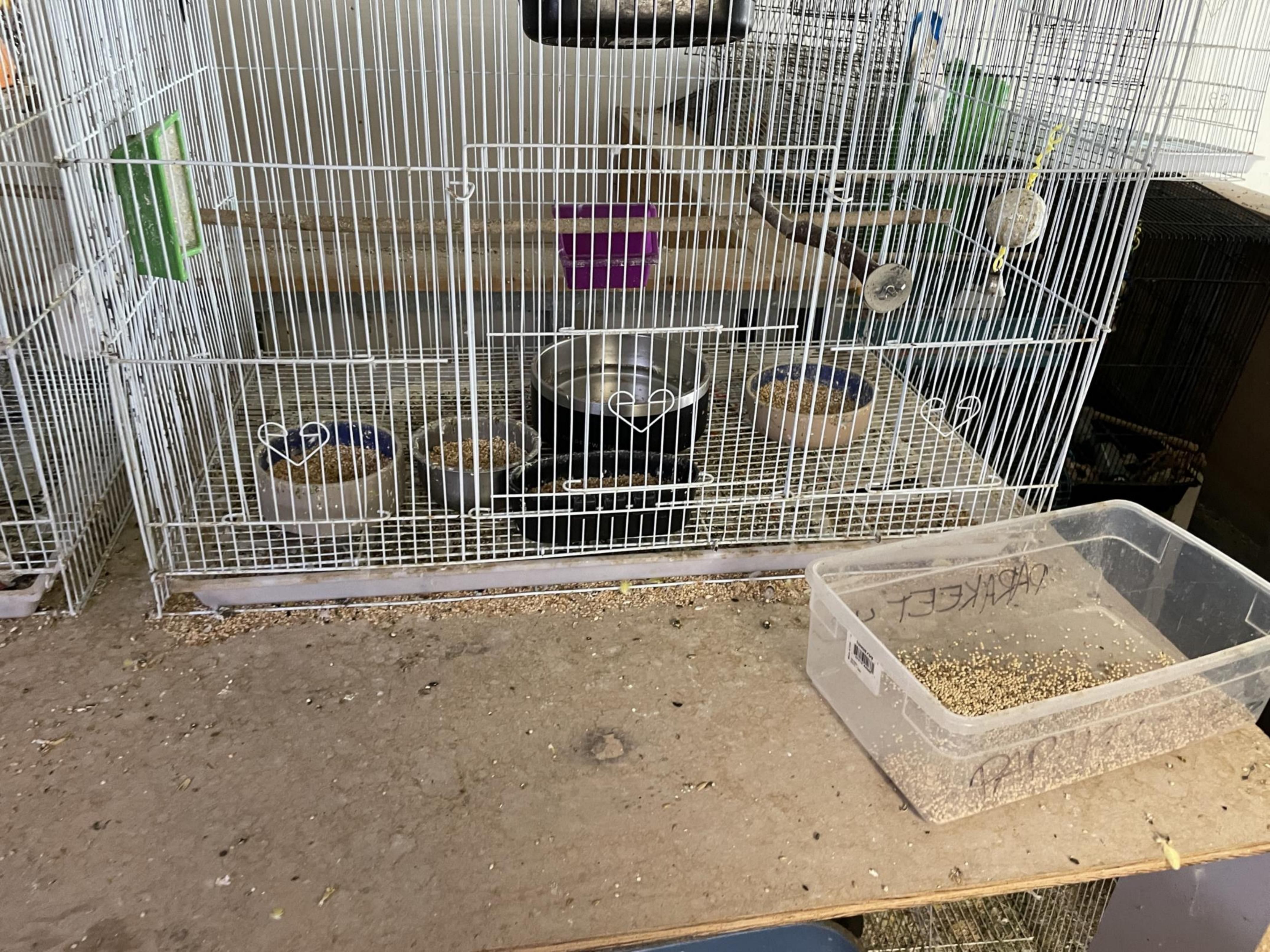 Empty white wire birdcage with multiple seed bowls and a metal water container, placed on a dusty wooden table scattered with seeds and a clear plastic container labeled \