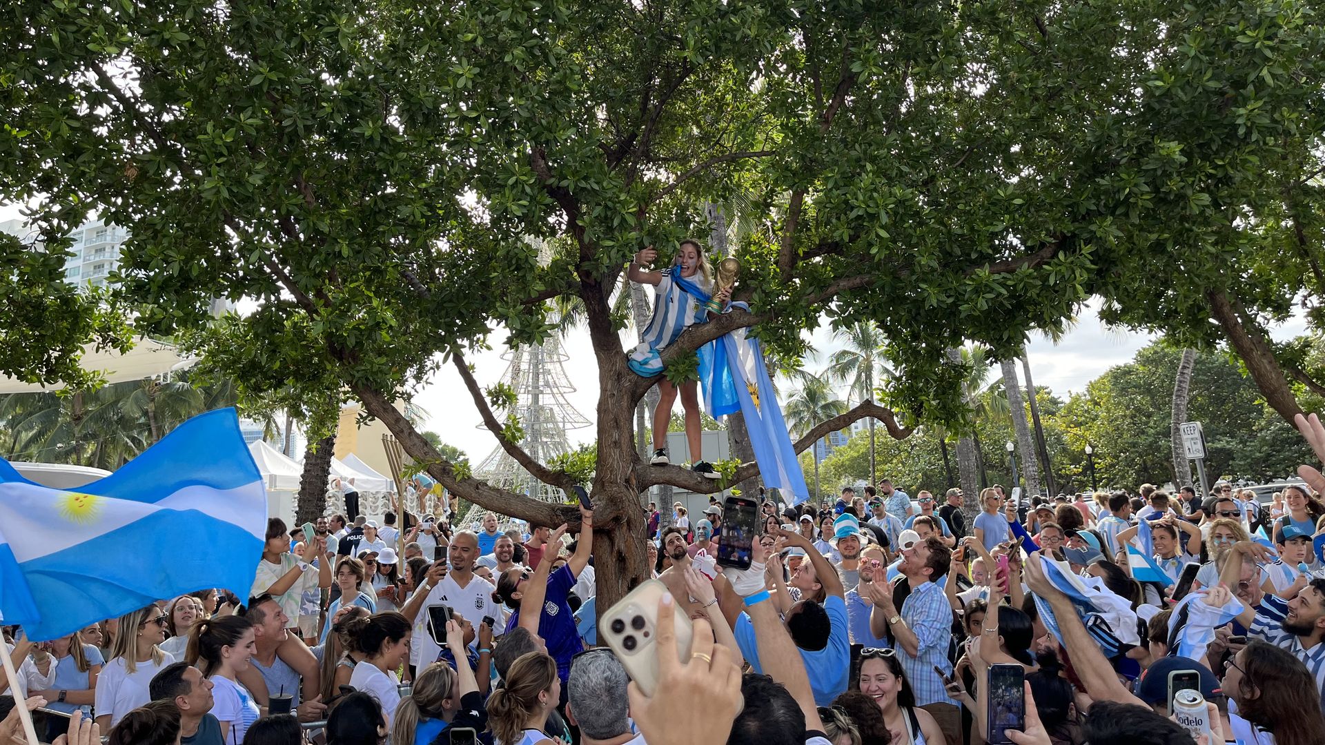 Argentina soccer fans celebrate their World Cup win in Miami Beach, Florida by climbing trees and waving flags.