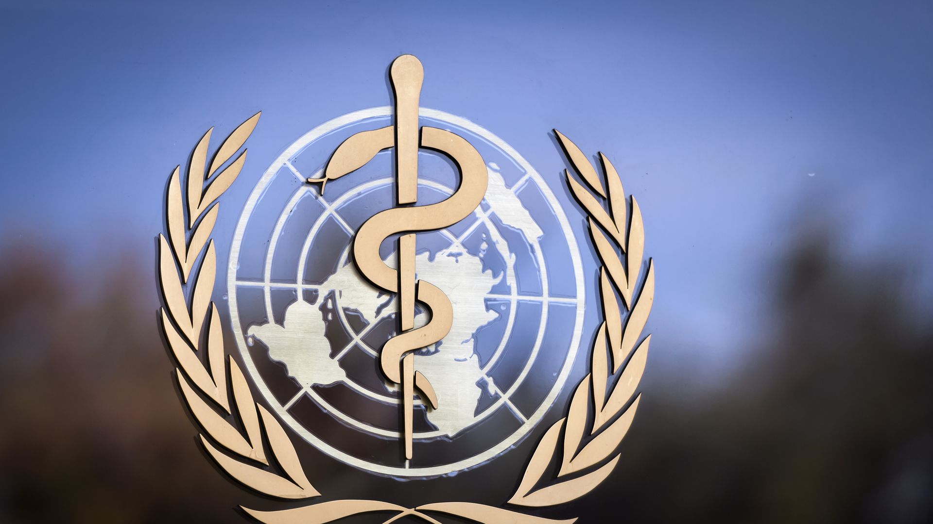 Photo of the World Health Organization emblem