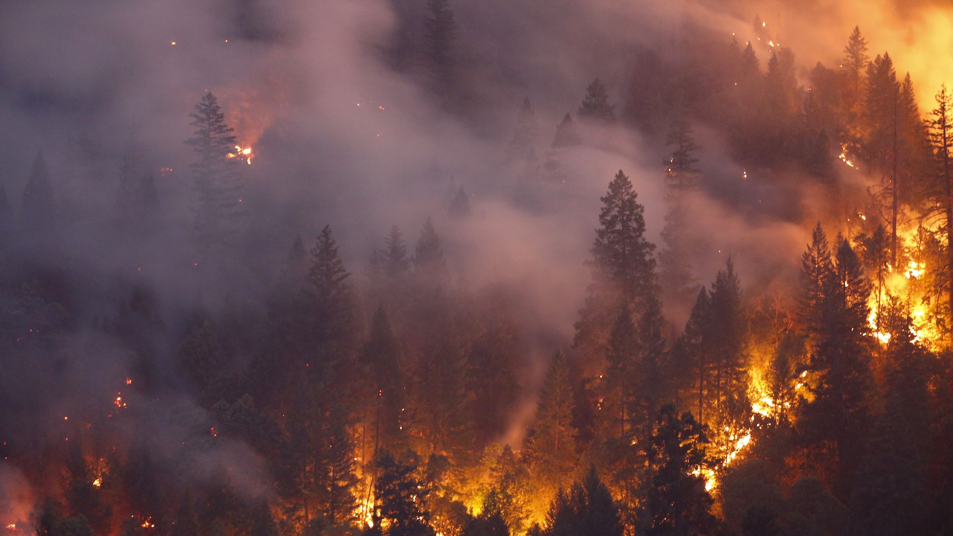 Flames from the Carr Fire burn a mountainside near Redding, California.