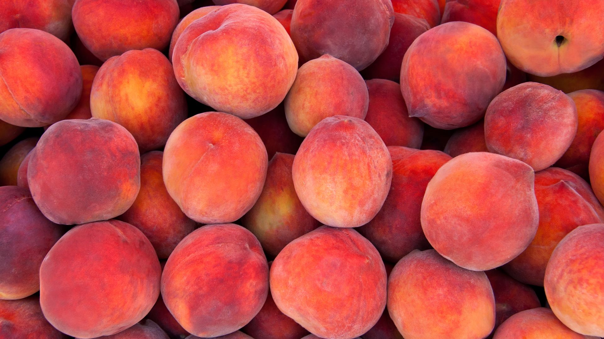 Close-up view of a large pile of ripe peaches with fuzzy skin in warm orange, red, and yellow tones.
