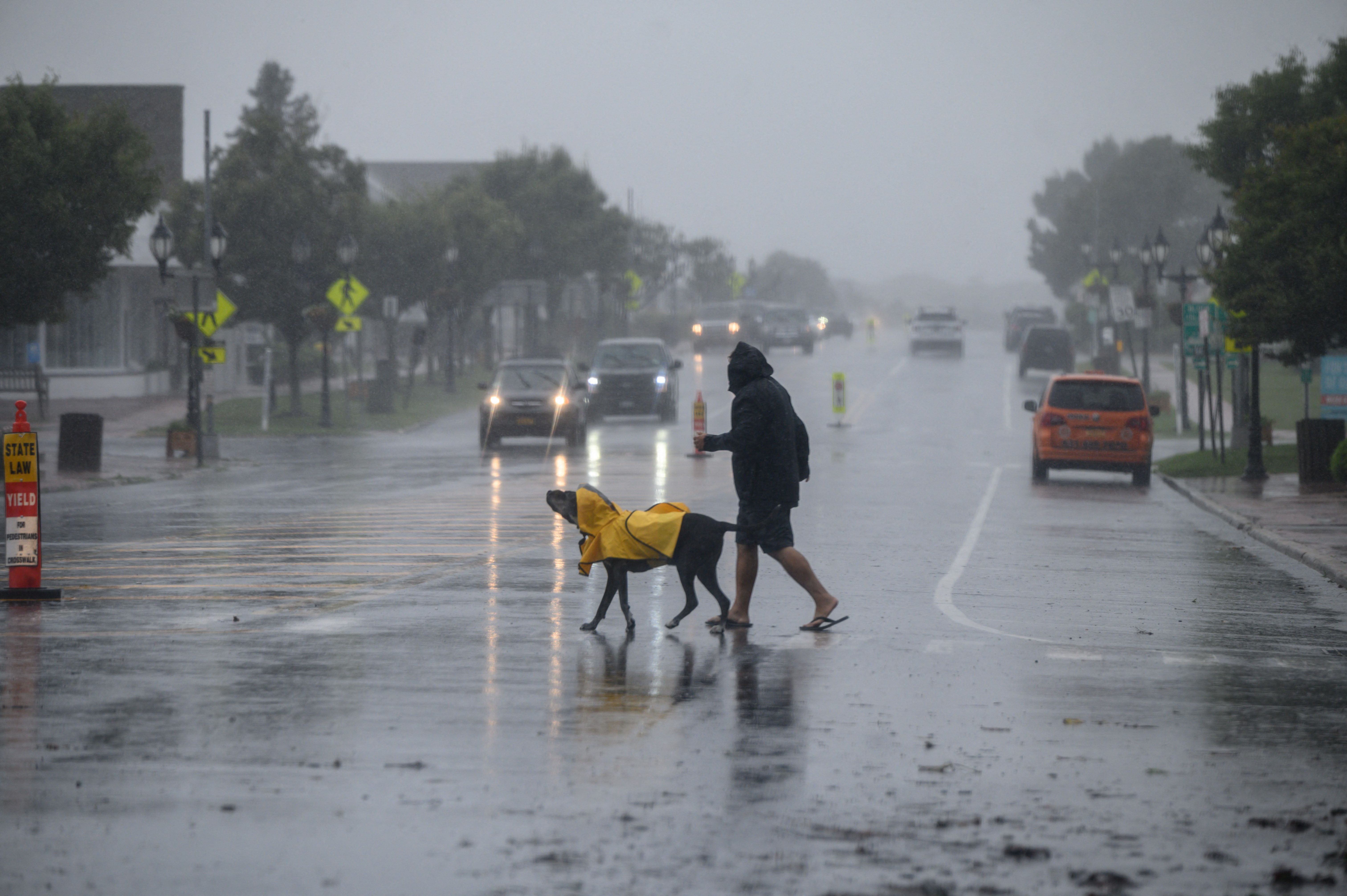  A man and dog walk cross a street before traffic as Tropical Storm Henri approaches, in Montauk, Long Island on August 22