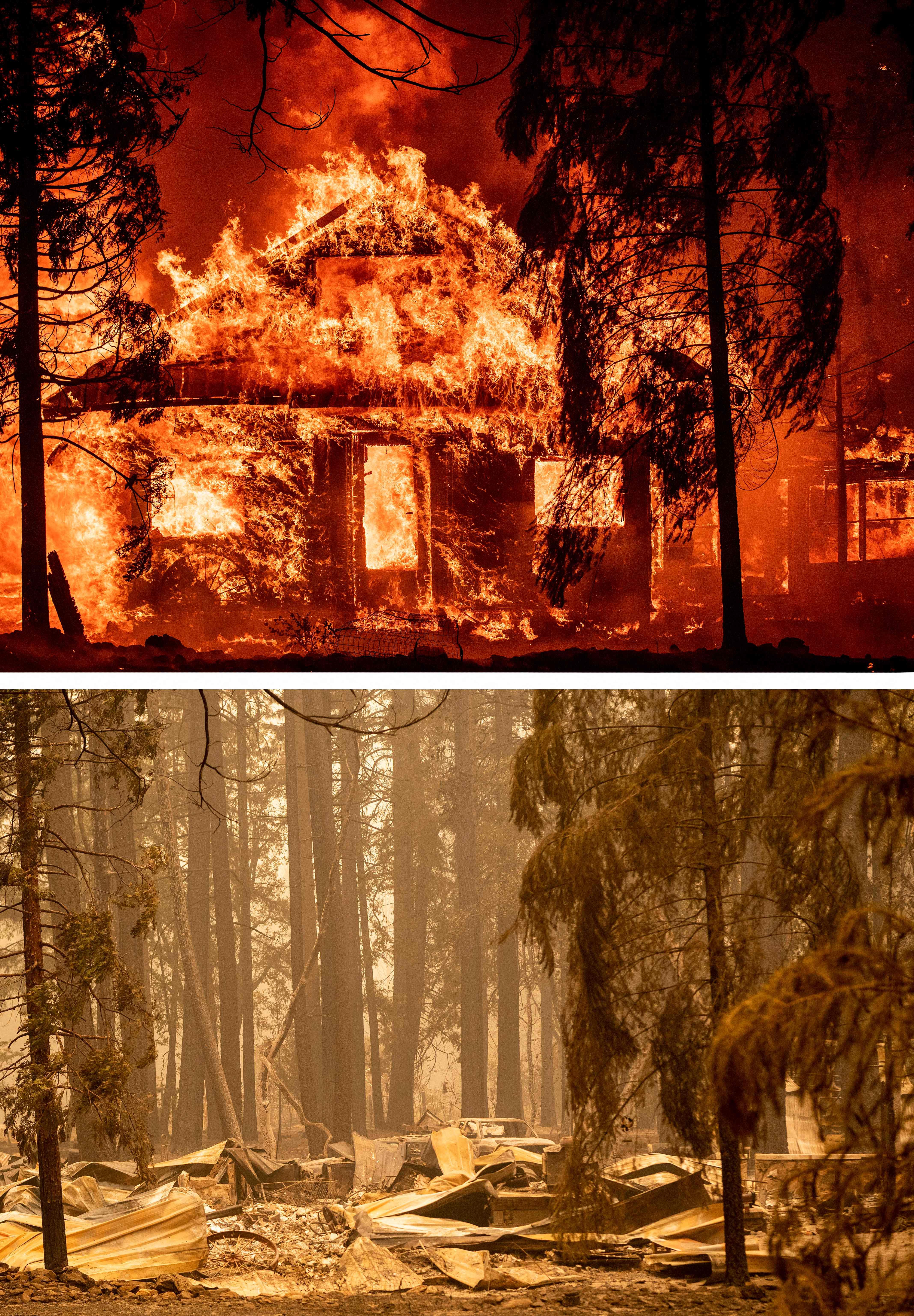 before and after a forest fire