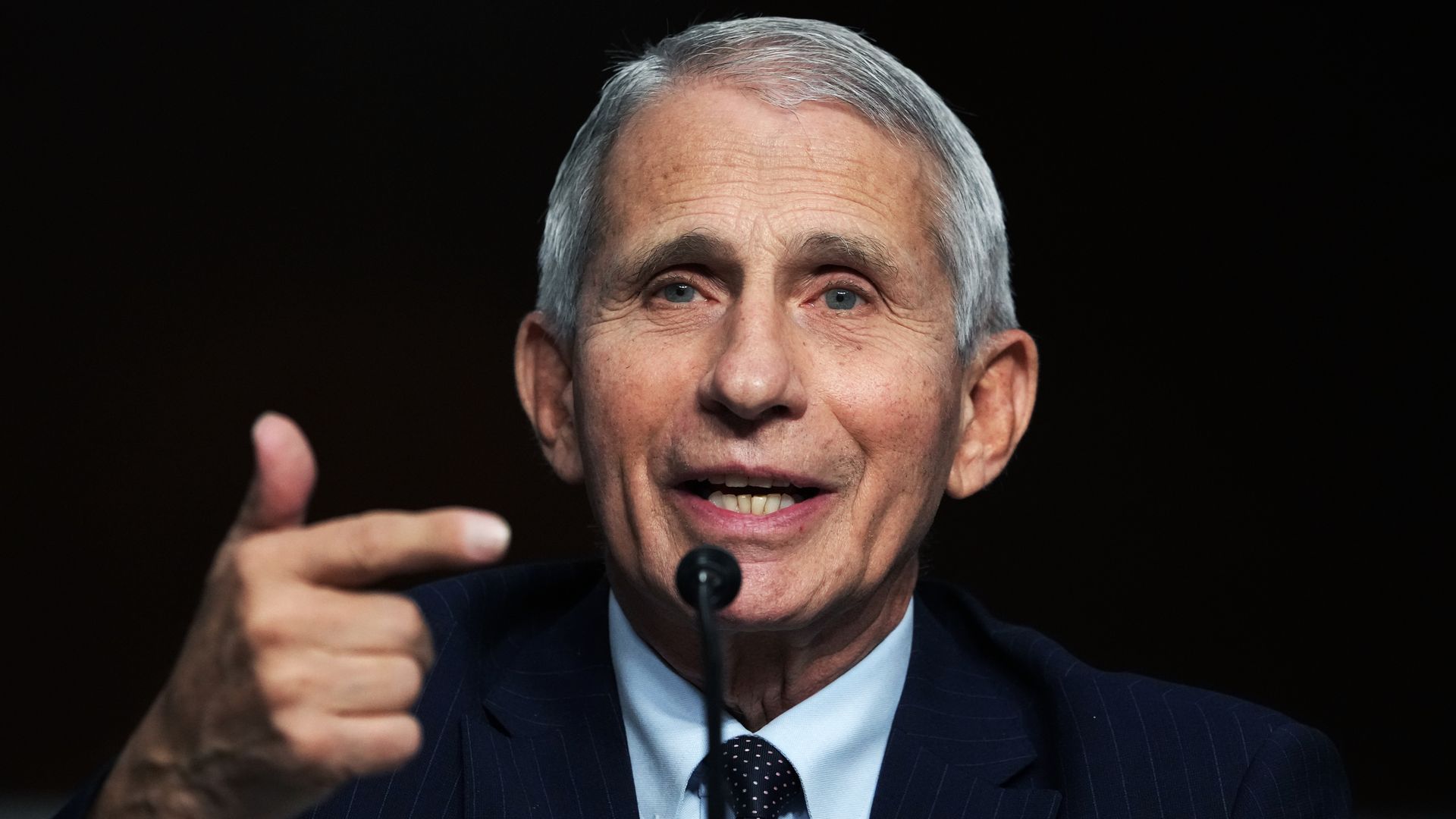Anthony Fauci, director of the National Institute of Allergy and Infectious Diseases, testifies during a Senate hearing on Thursday, November 4, 2021.