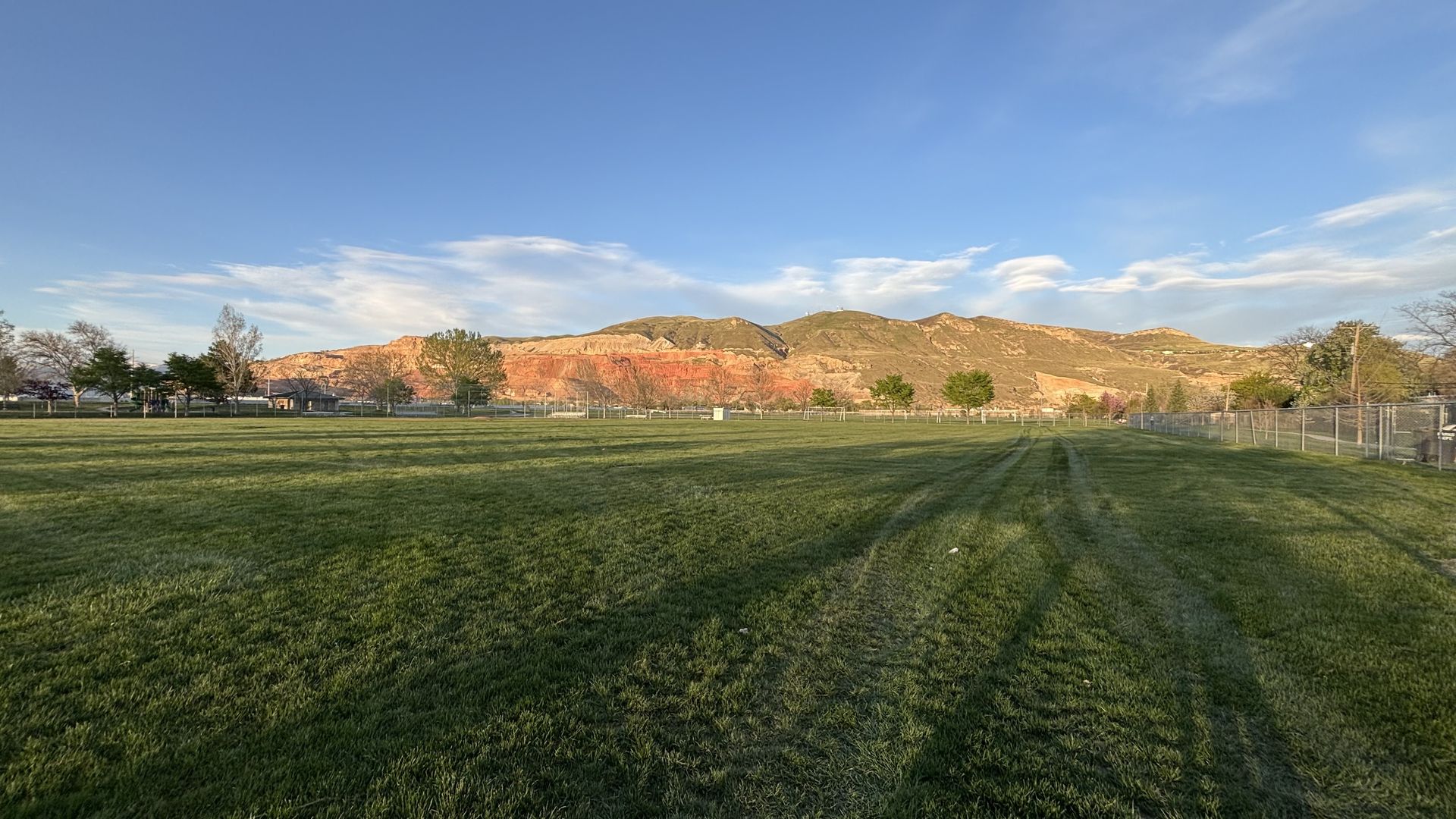 Goldman Sachs to plant 100 trees in Salt Lake's west side - Axios Salt ...