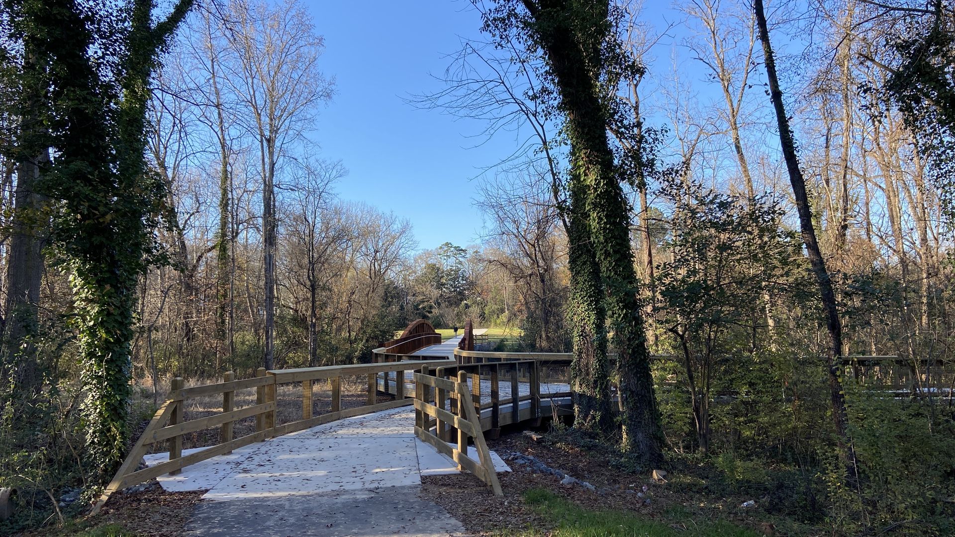 Trees with green leaves line either side of a boardwalk on a greenway in south Charlotte.