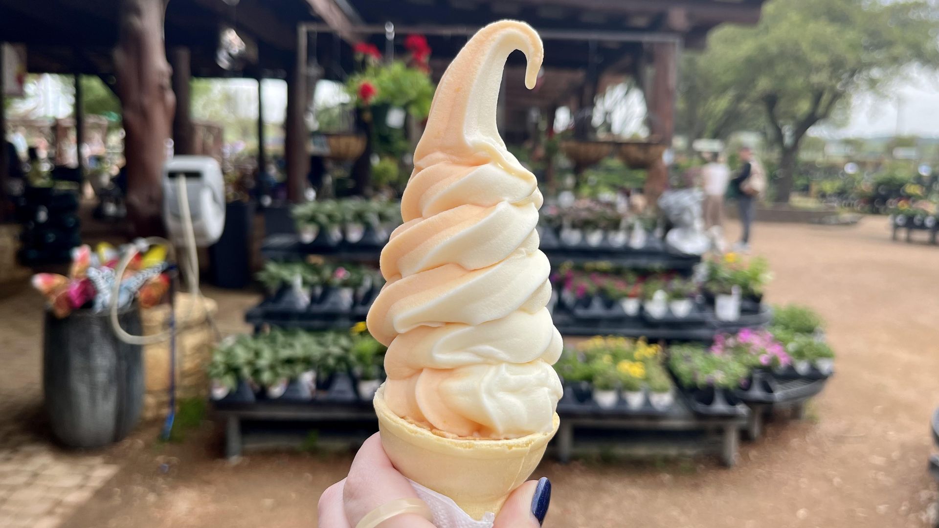 A tall swirl of peach and vanilla soft serve in a cone with blurred flowers for sale in the background.