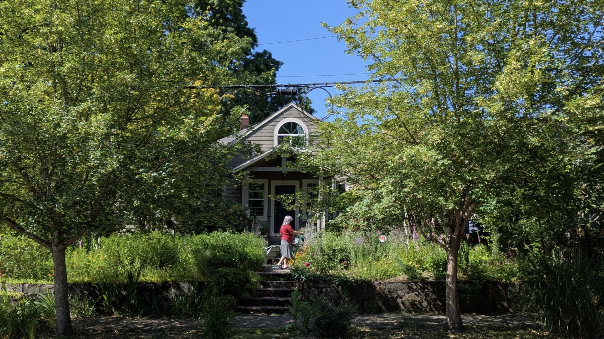 A small gray cottage with a gabled roof sits behind dense summer gardens. A silver-haired person in a red shirt stands on stone steps, watering colorful flowers under a bright blue sky and leafy trees.